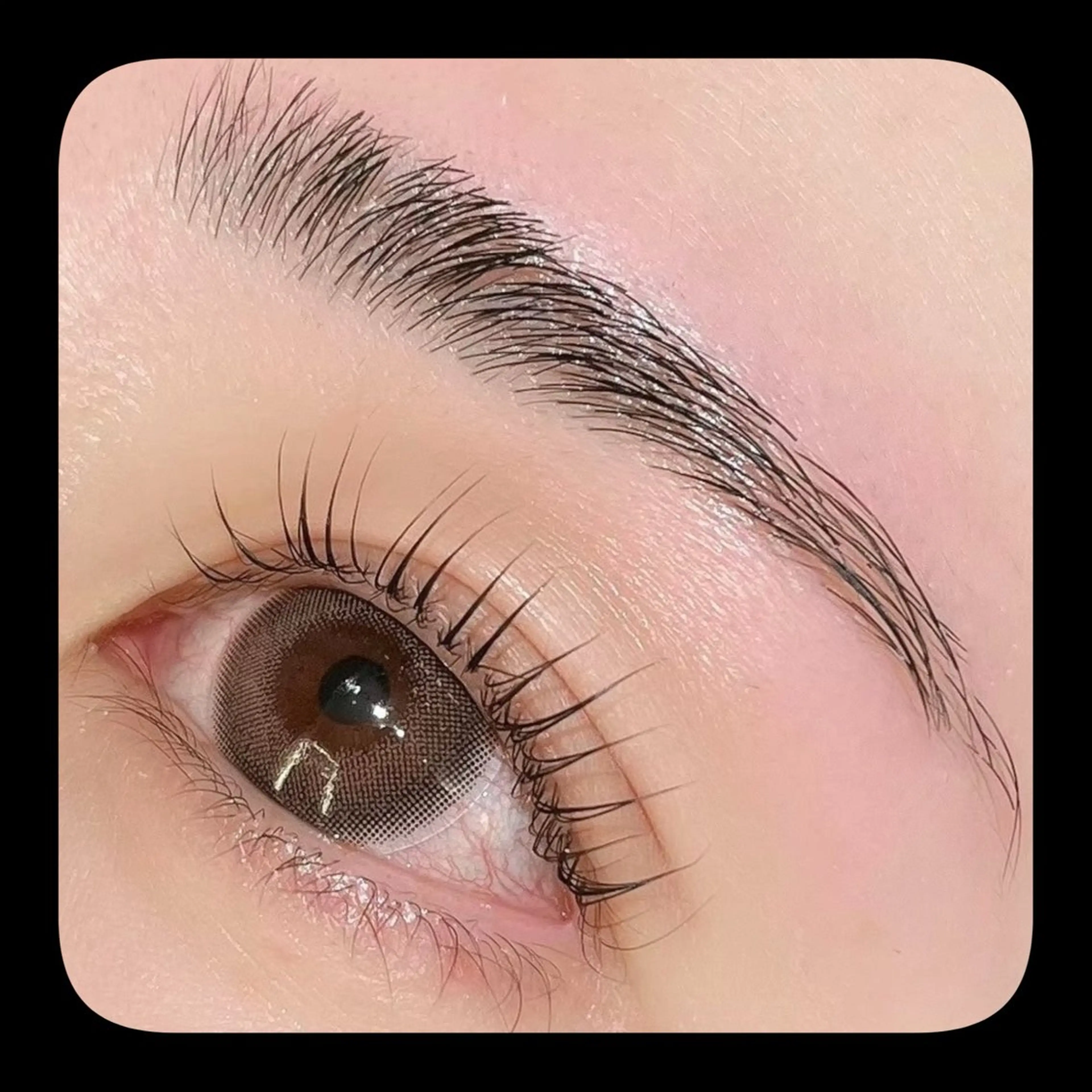 12/26限定‼️パリジェンヌorまつ毛パーマ¥5500→¥3300の写真