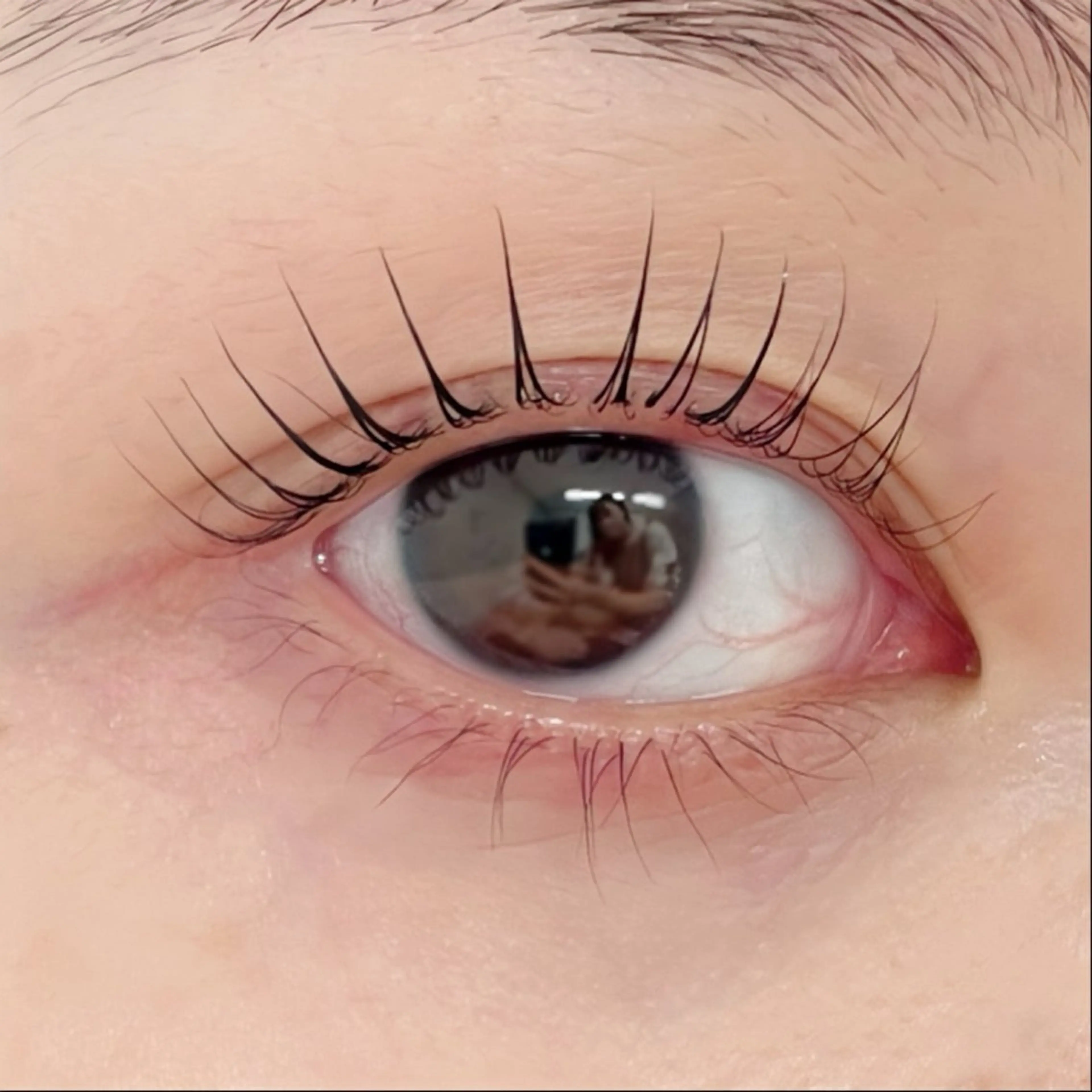 【まつ毛パーマ】パリジェンヌ/韓国ロッド多種/束感仕上げの写真