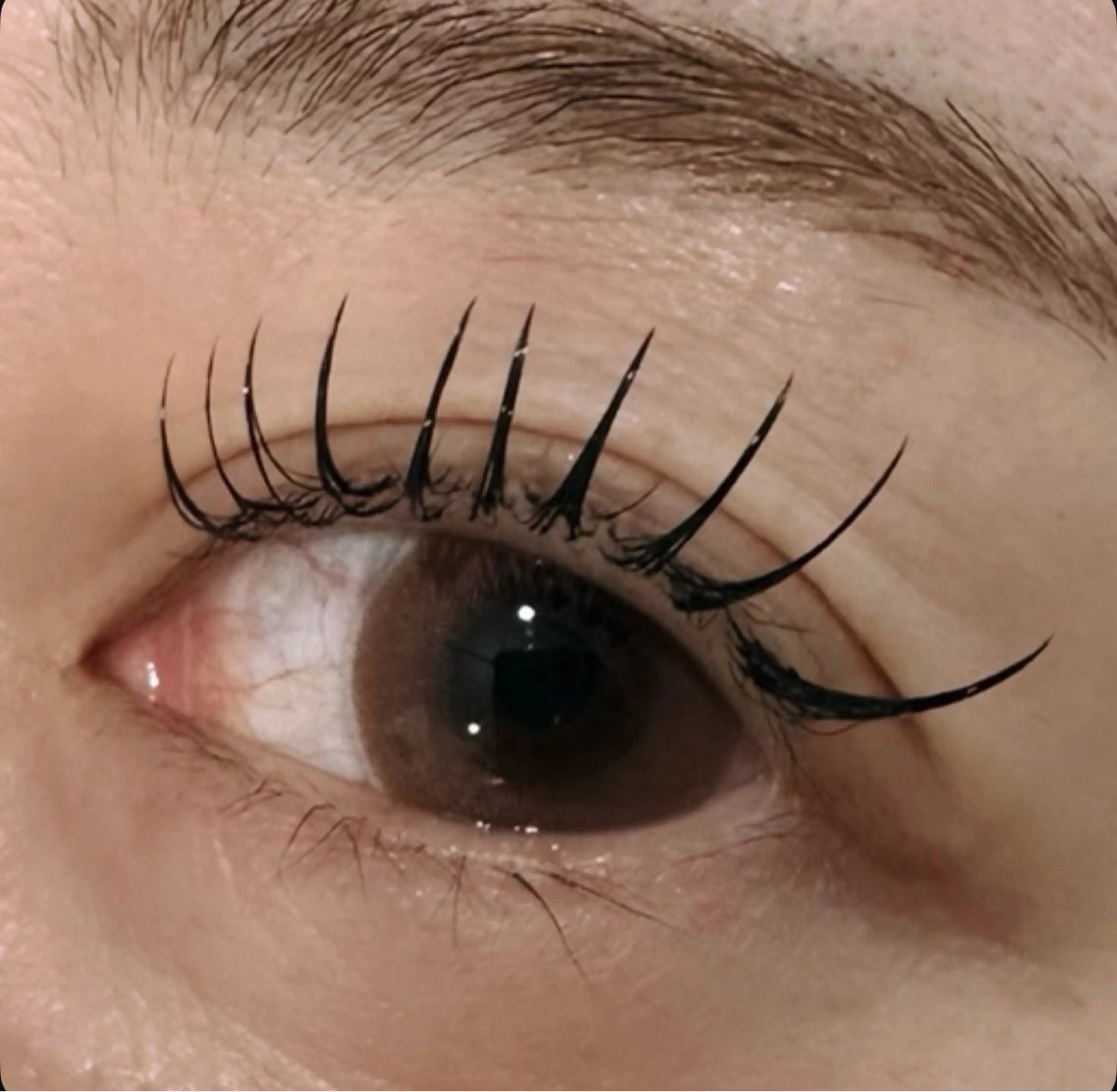 マツエク・マツパ マツエク Myro mikiの眉毛・アイブロウイメージ