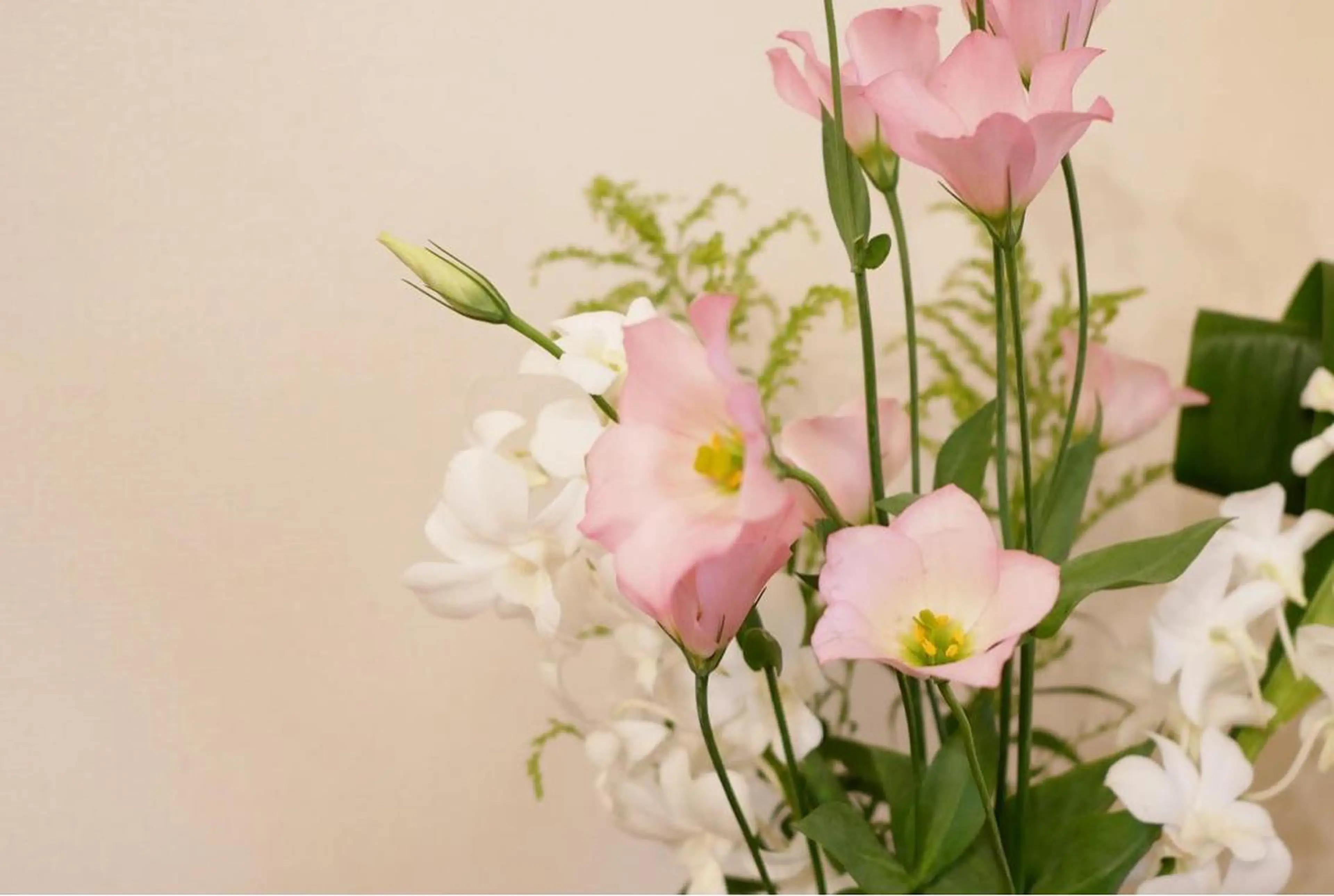 ロング カラー パーマ ヘアアレンジ メンズ キッズ ネイル マツエク・マツパ ニキビ跡専門サロン Ａｉｎａのエステ・リラクイメージ