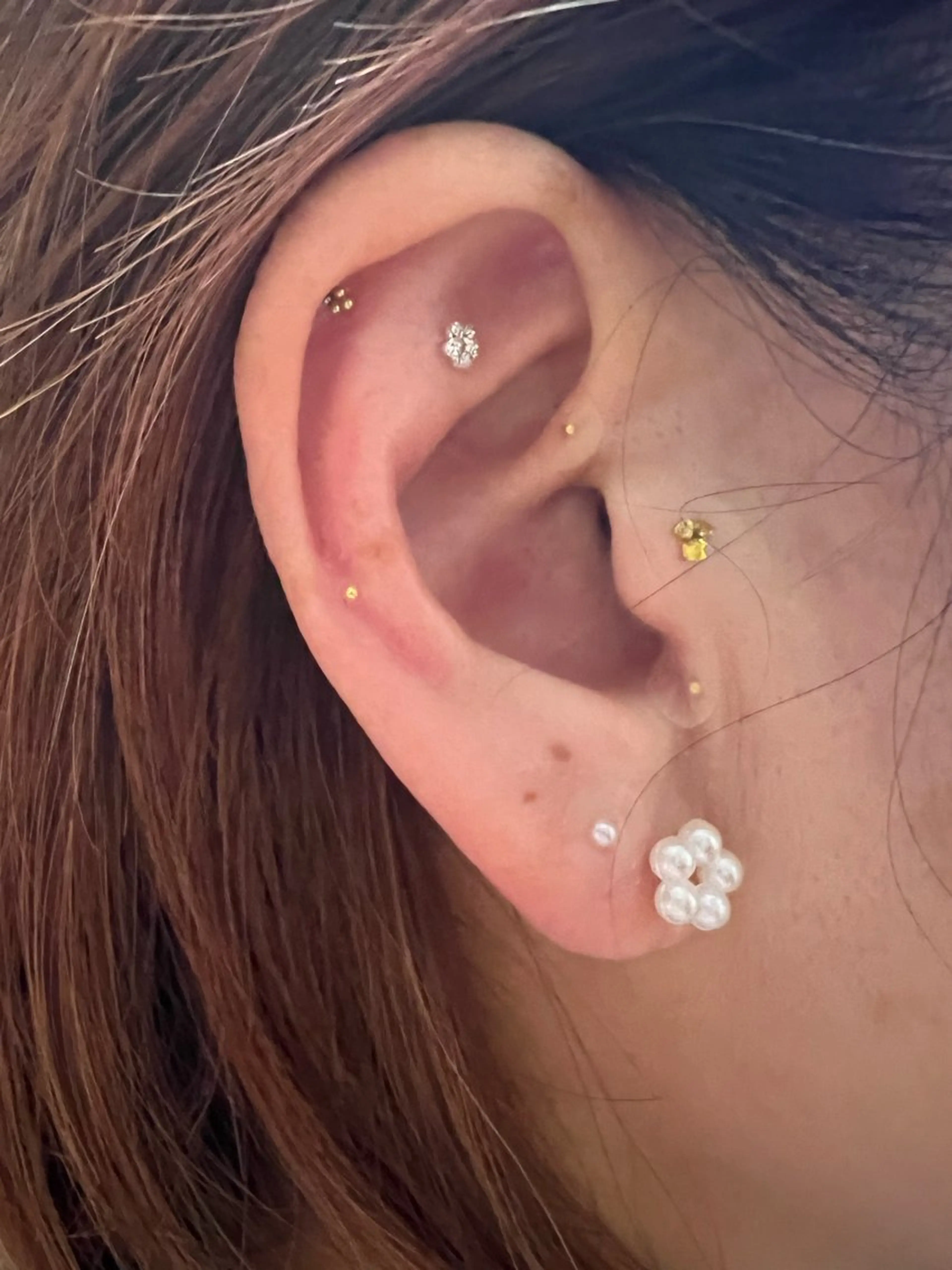 carina所属・Sugiyama Amiのその他イメージ