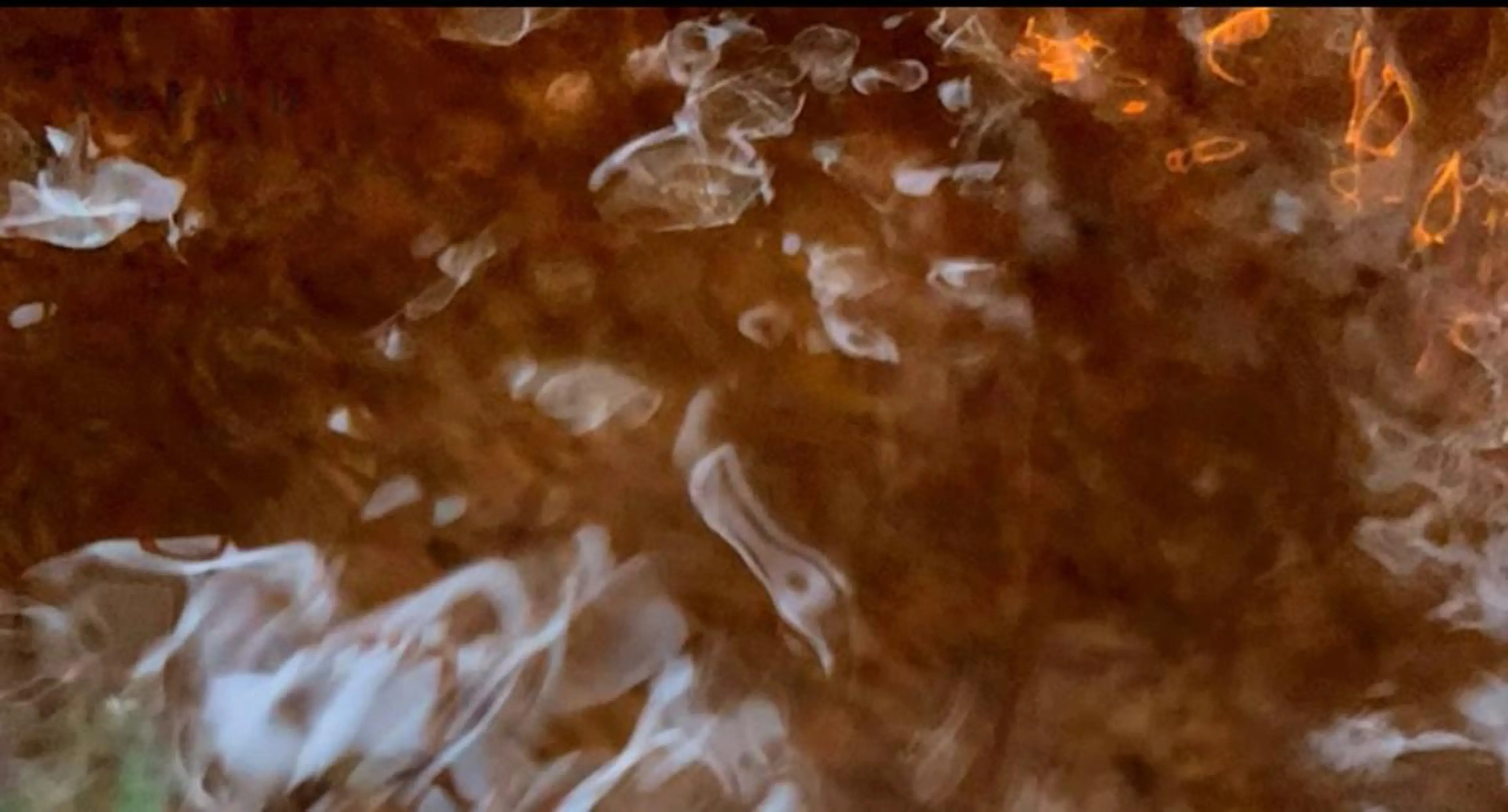 ネイル oak nail所属・óæk nailのネイルデザイン