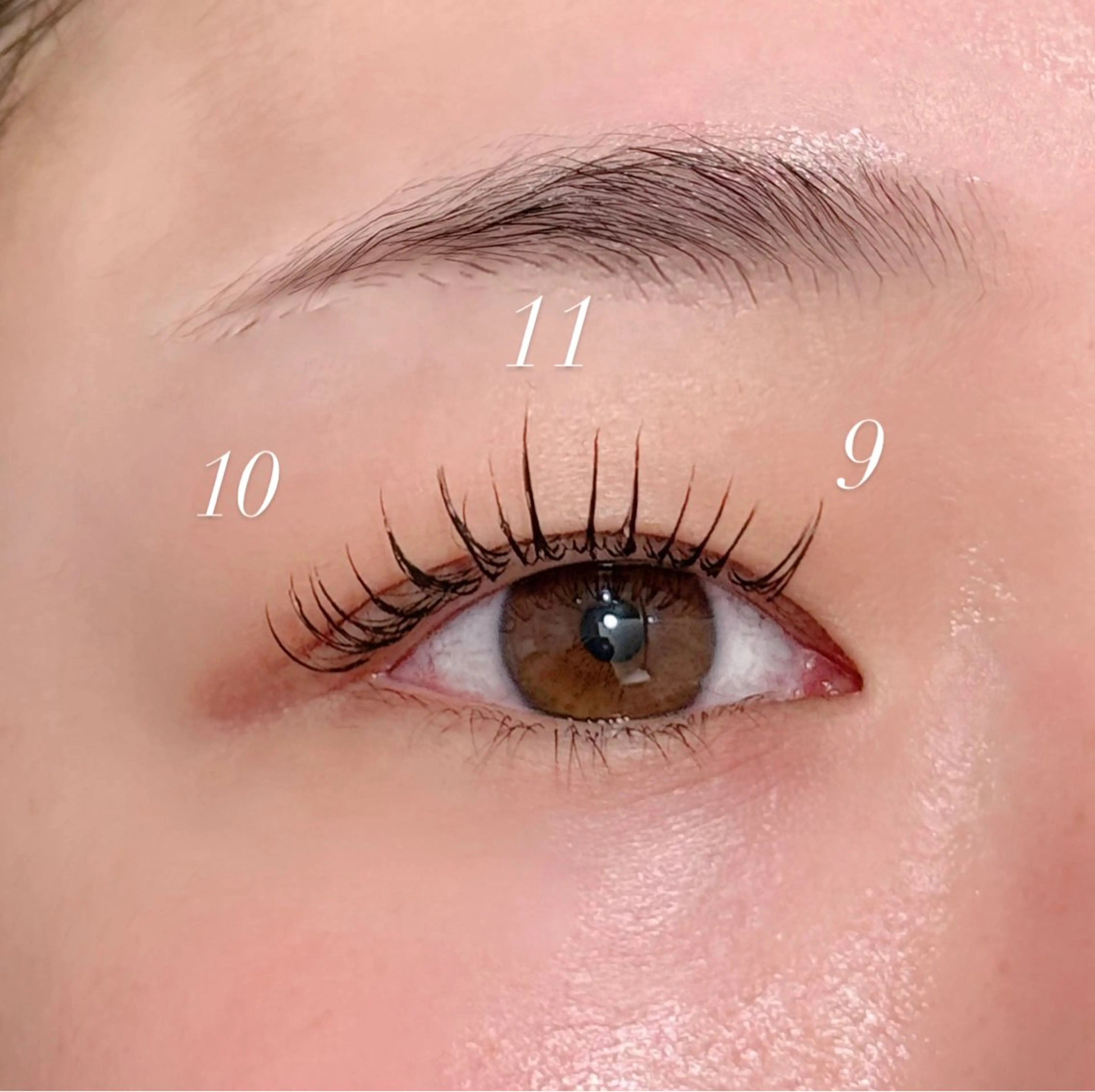 💖軽い付け心地❣️フラットマットラッシュ💖 100本の写真