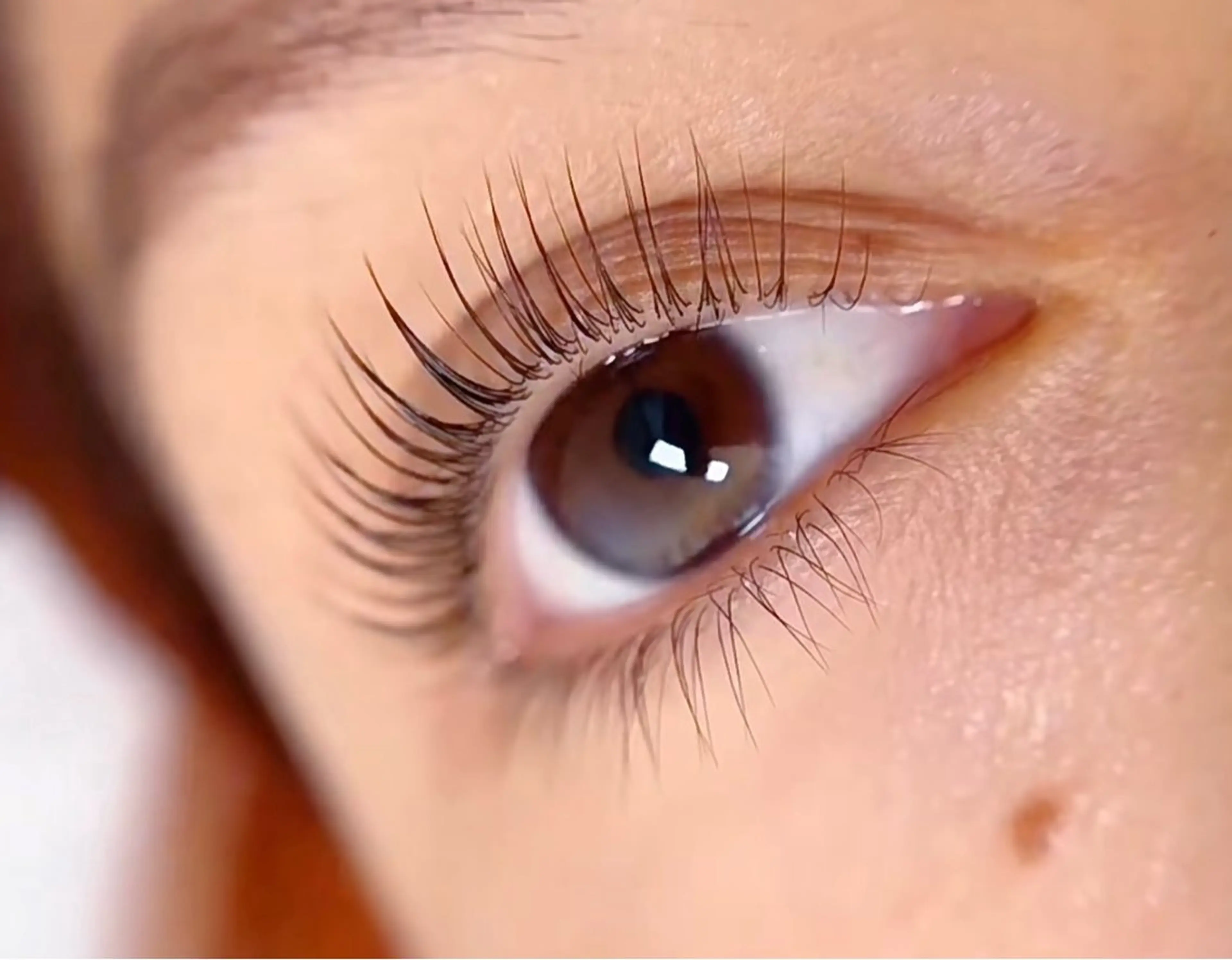 マツエク・マツパ 付け放題 バインドロック 束感まつ毛 カラーマツエク フラットラッシュ マツパ Ｍ salon アイラッシュのマツエク・マツパデザイン