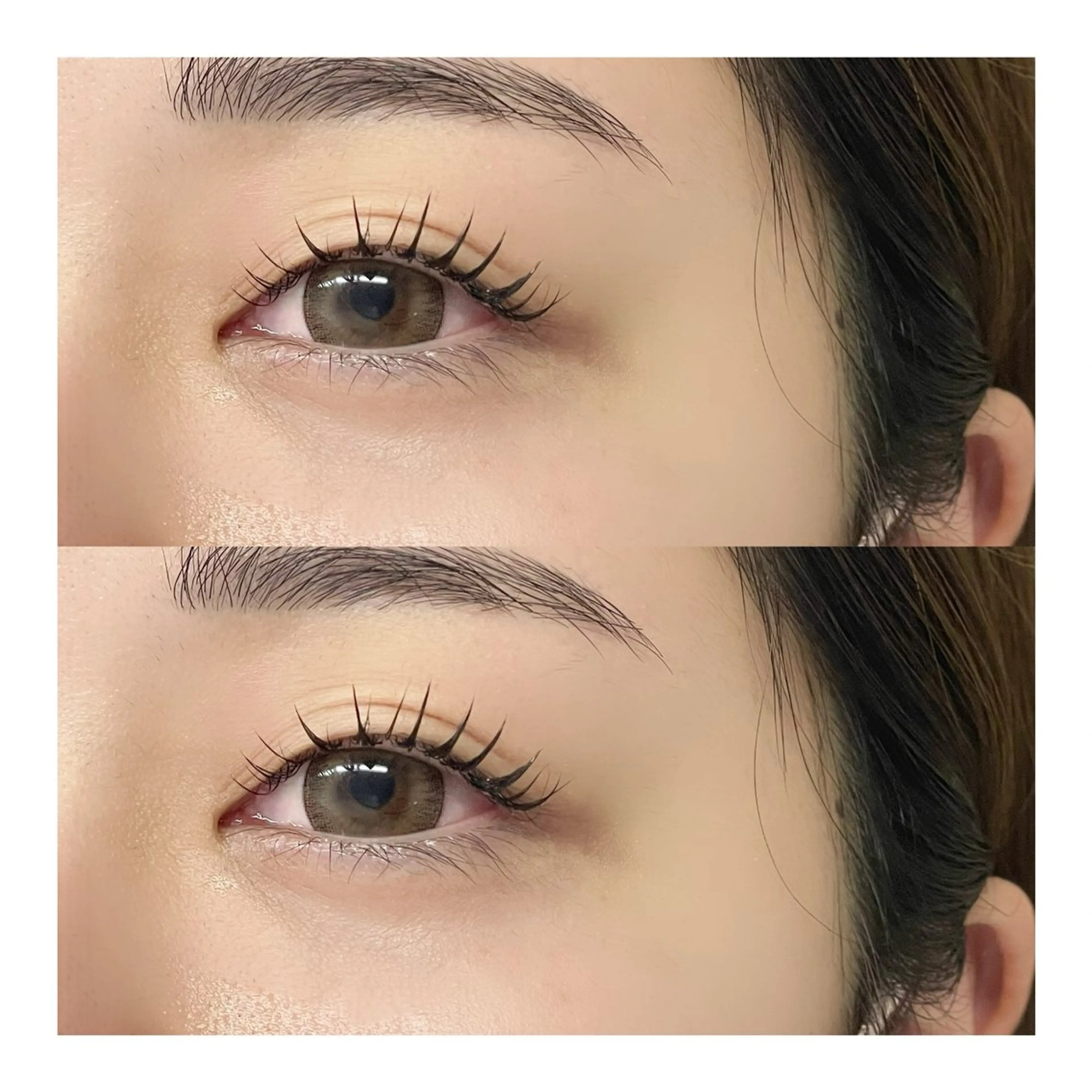 🦋パリエク100本までの写真