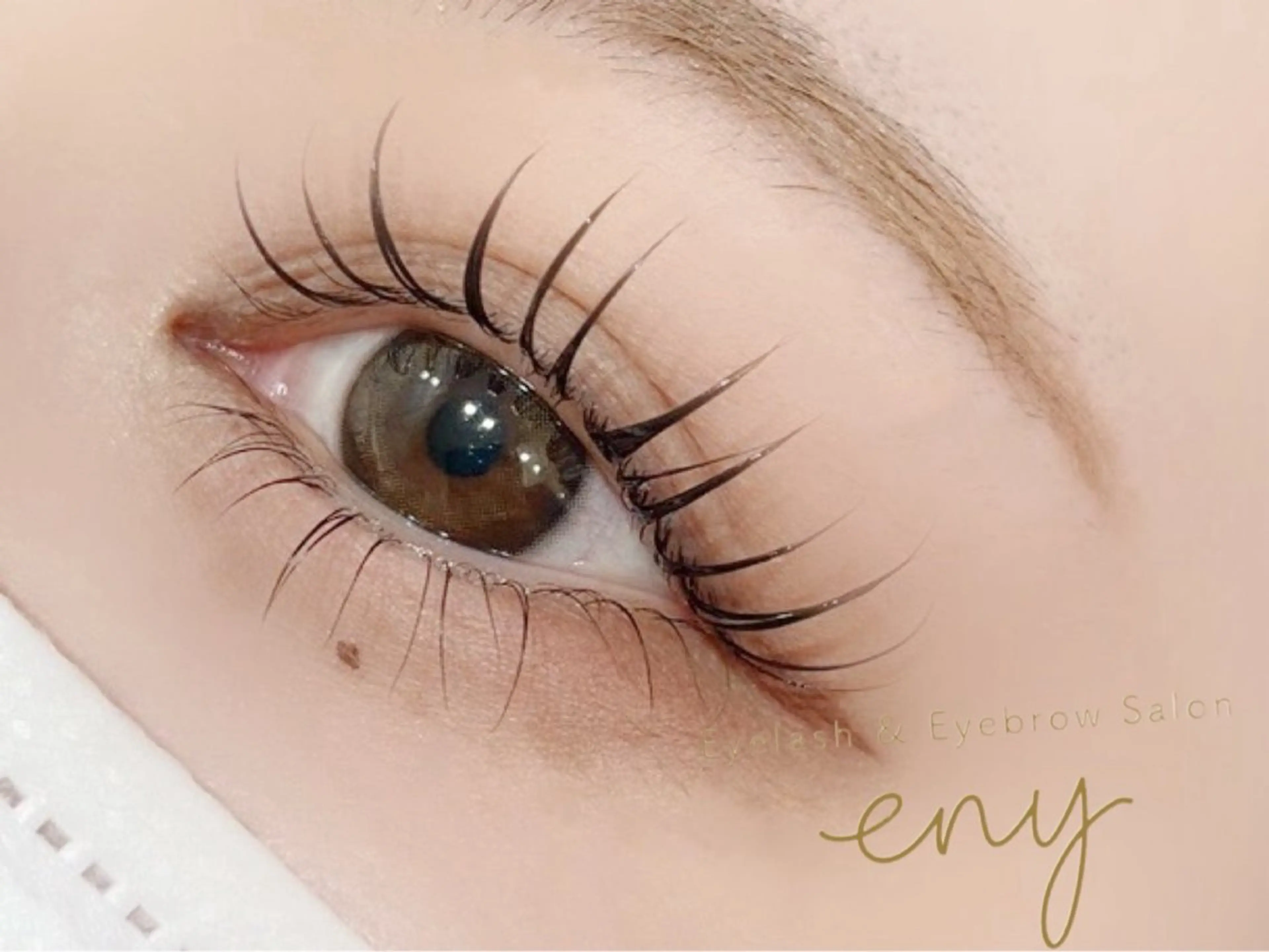 12月限定⭐️プロが施術⭐️上下まつ毛パーマの写真