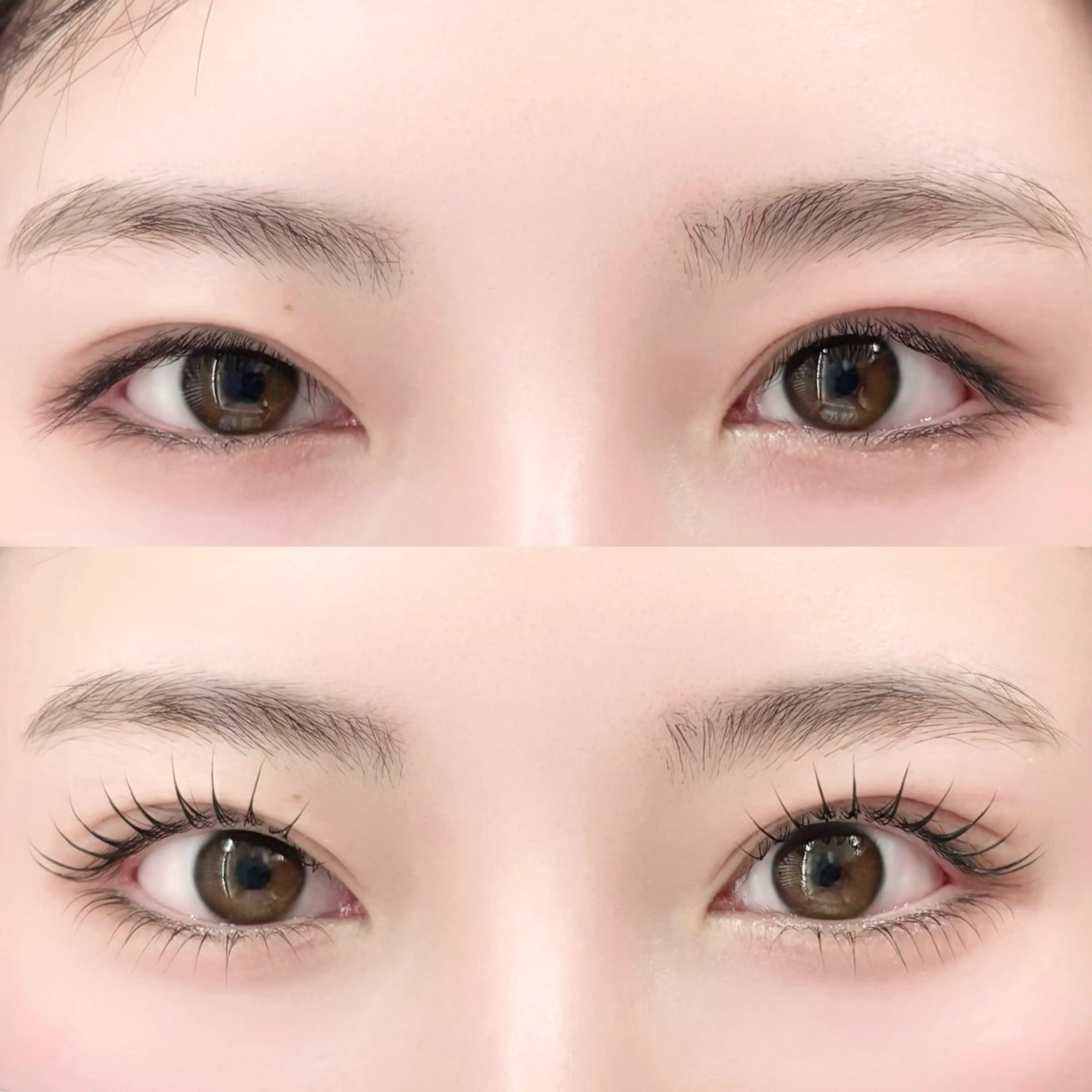 ❣️学生限定❣️選べる上下まつ毛パーマの写真