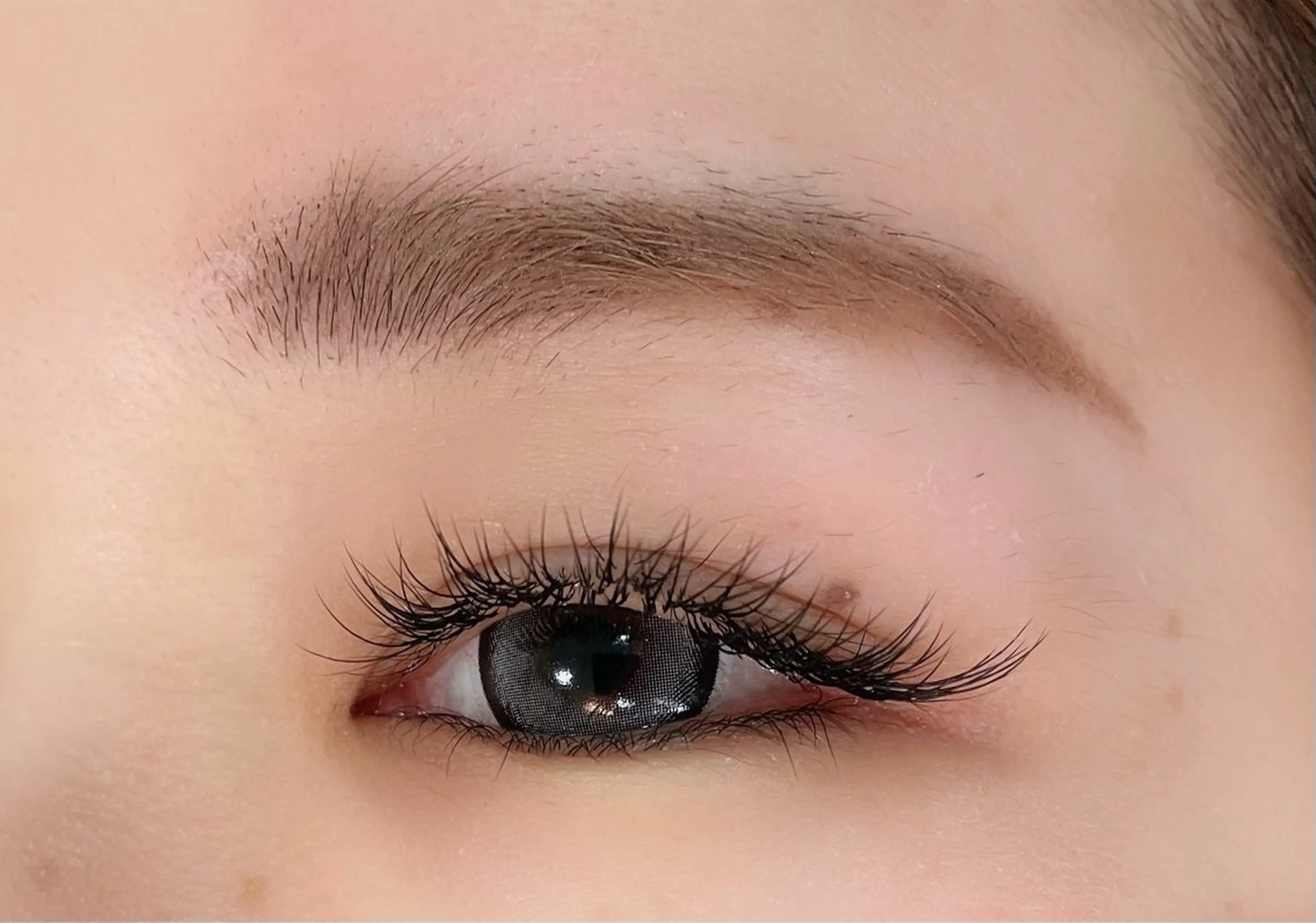 マツエク60分付け放題/シングルラッシュの写真