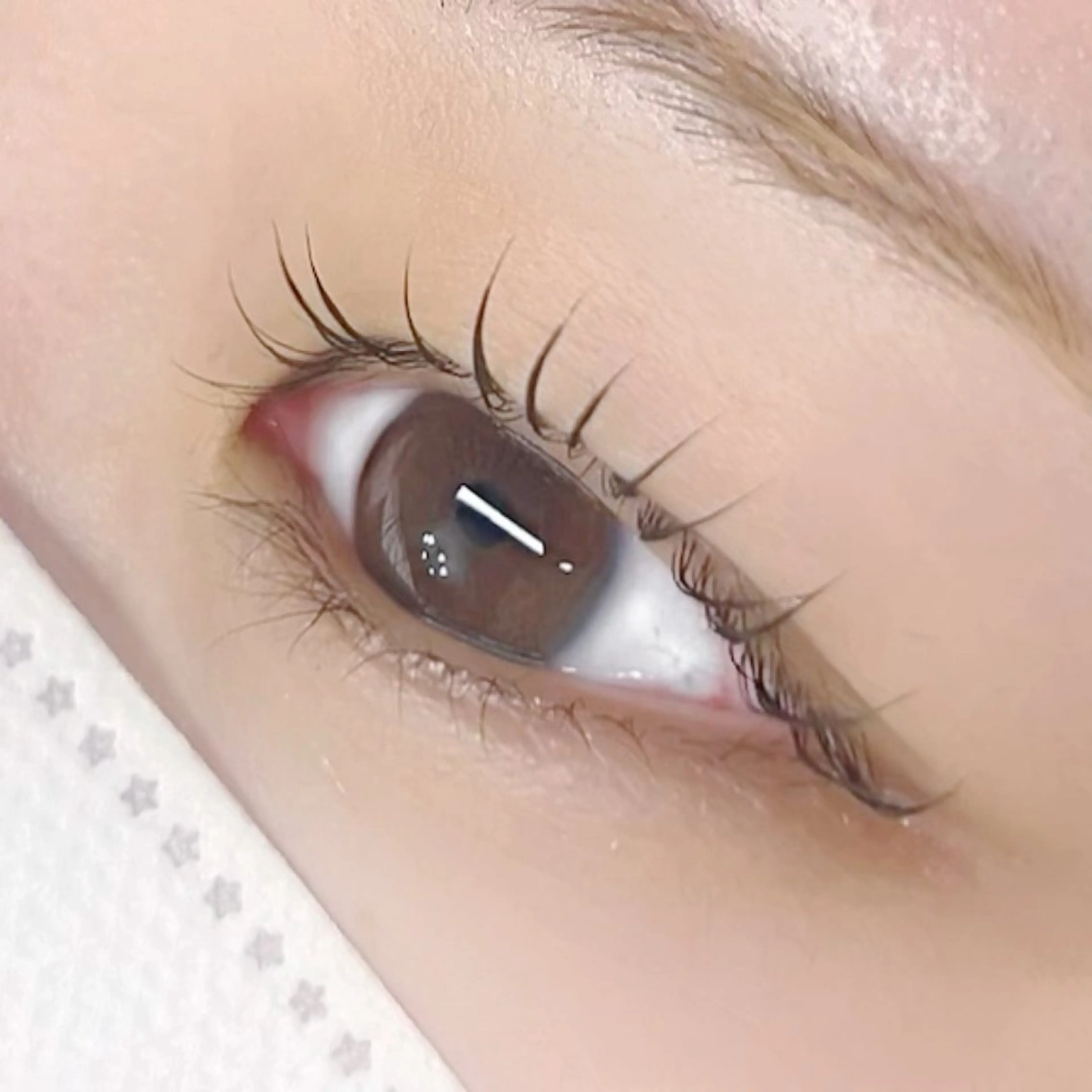 マツエク・マツパ Lian所属・【Lian】 らん🦋のマツエク・マツパデザイン