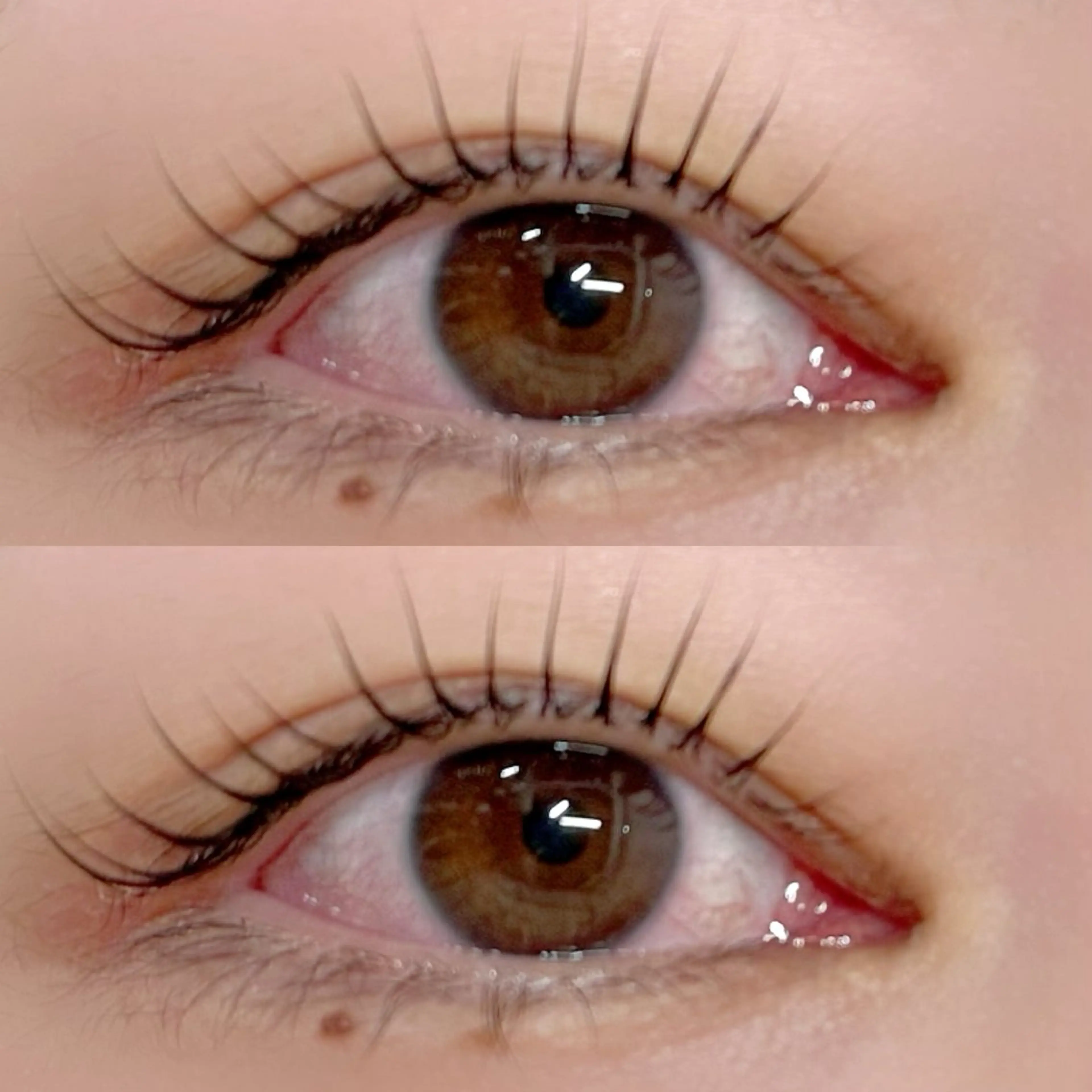 💚メーテルロッドまつ毛パーマ 💚の写真