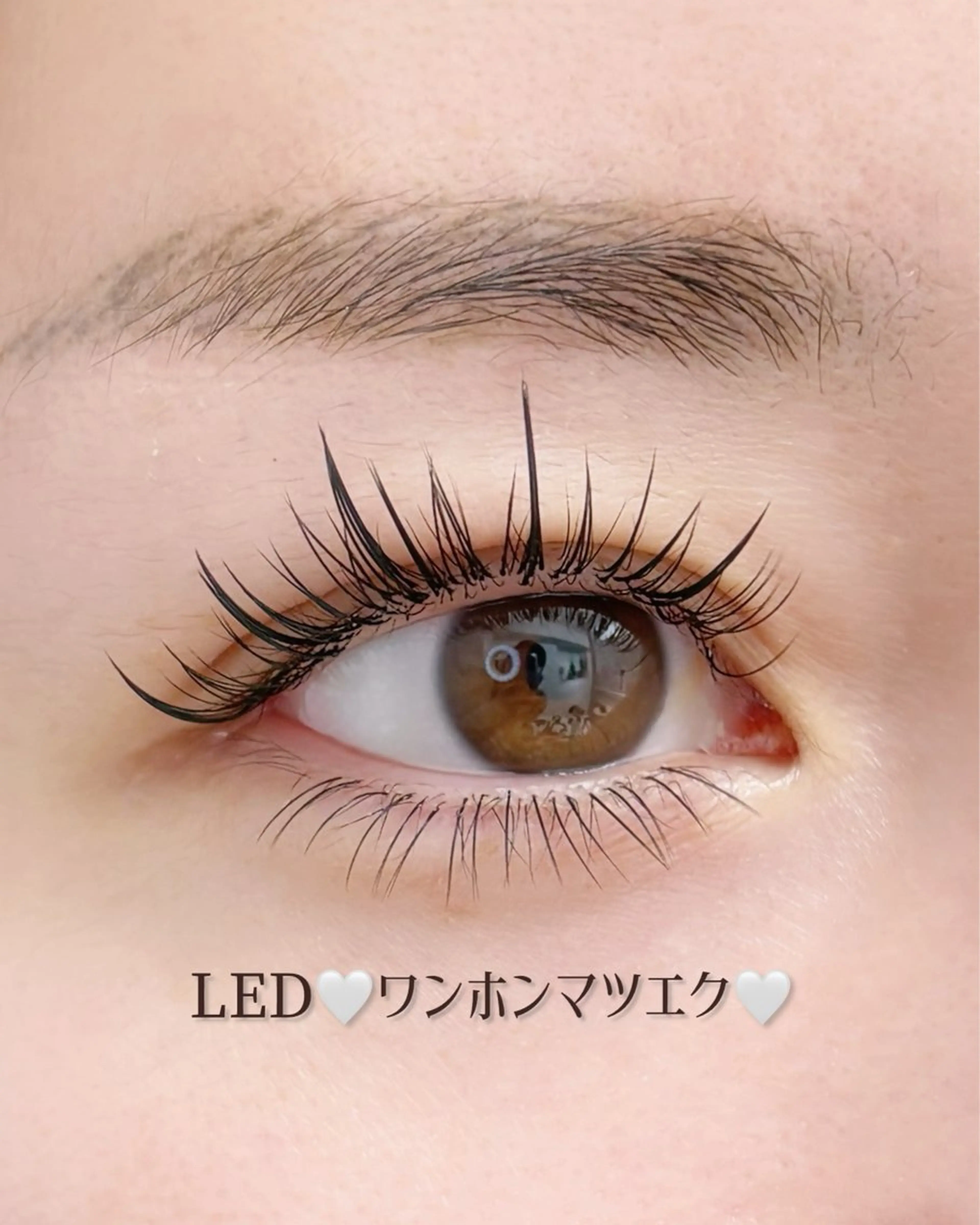 マツエク・マツパ ワンホンマツエク マツエク LazTOKYO YUKAKOの眉毛・アイブロウイメージ