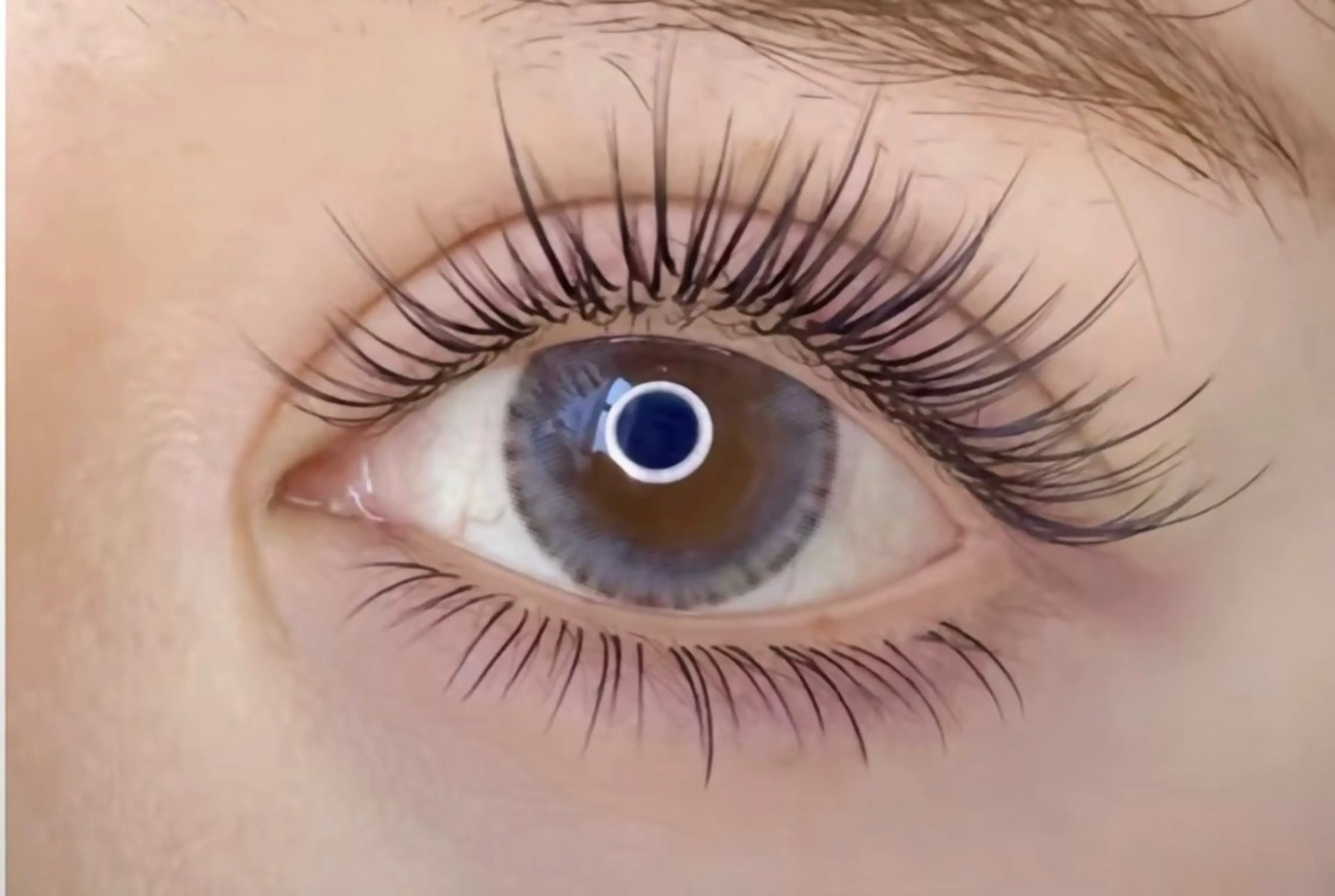 3Dボリュームラッシュ400本🧚‍♂️の写真