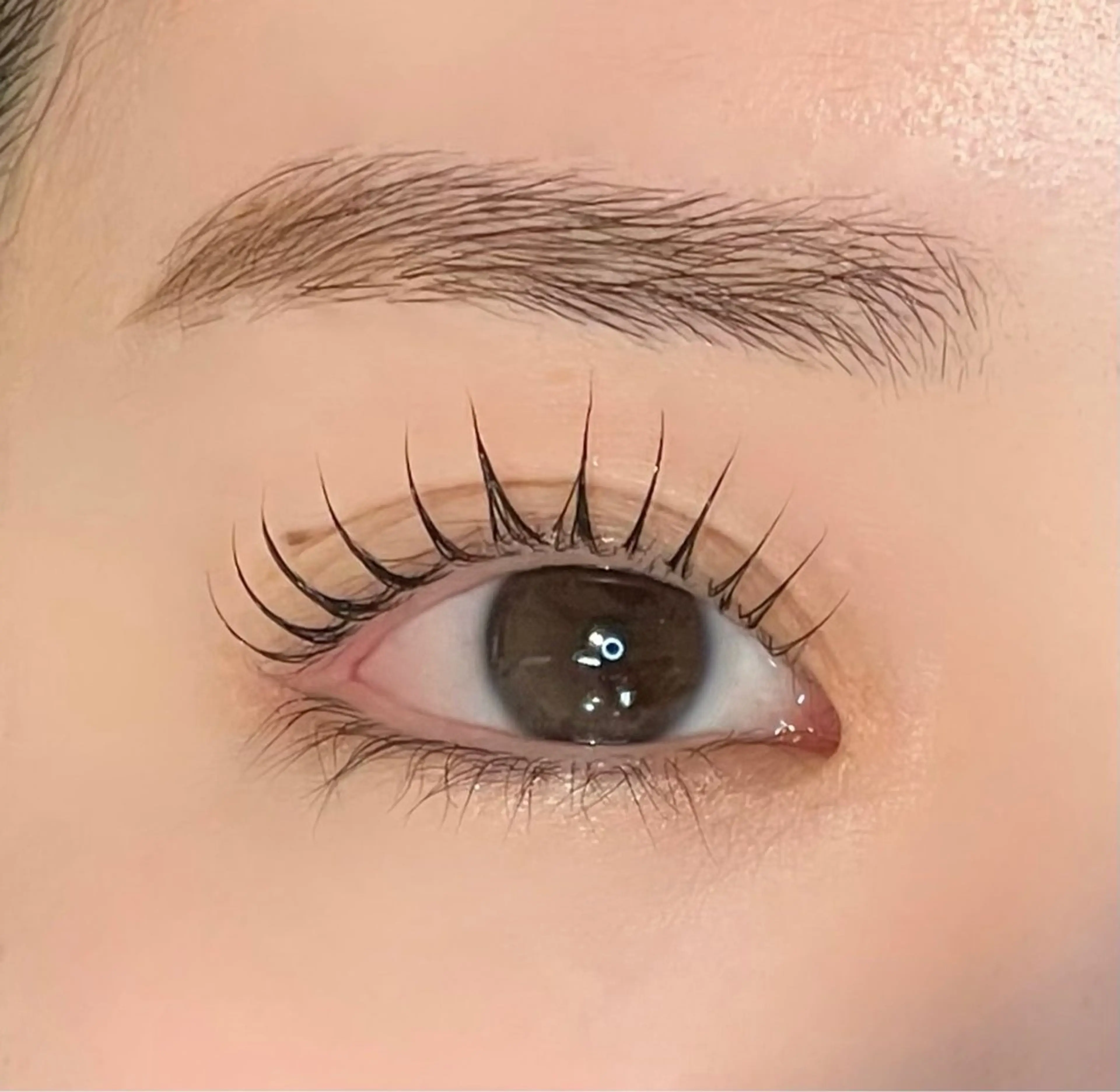 ❣️まつ毛パーマorパリジェンヌ＋ケラチンTR❣️の写真