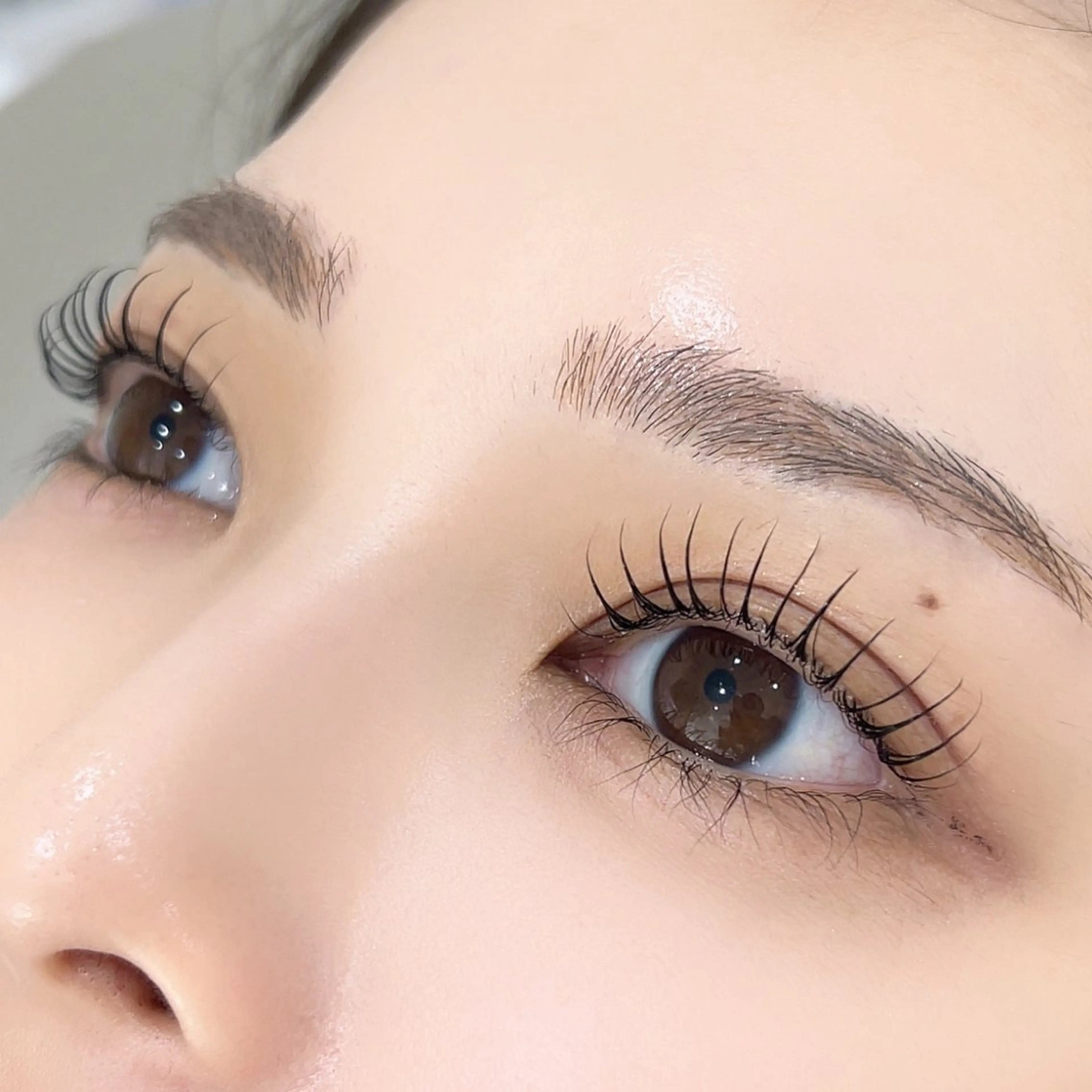 【リピーター様】❤️パリジェンヌラッシュリフト❤️の写真