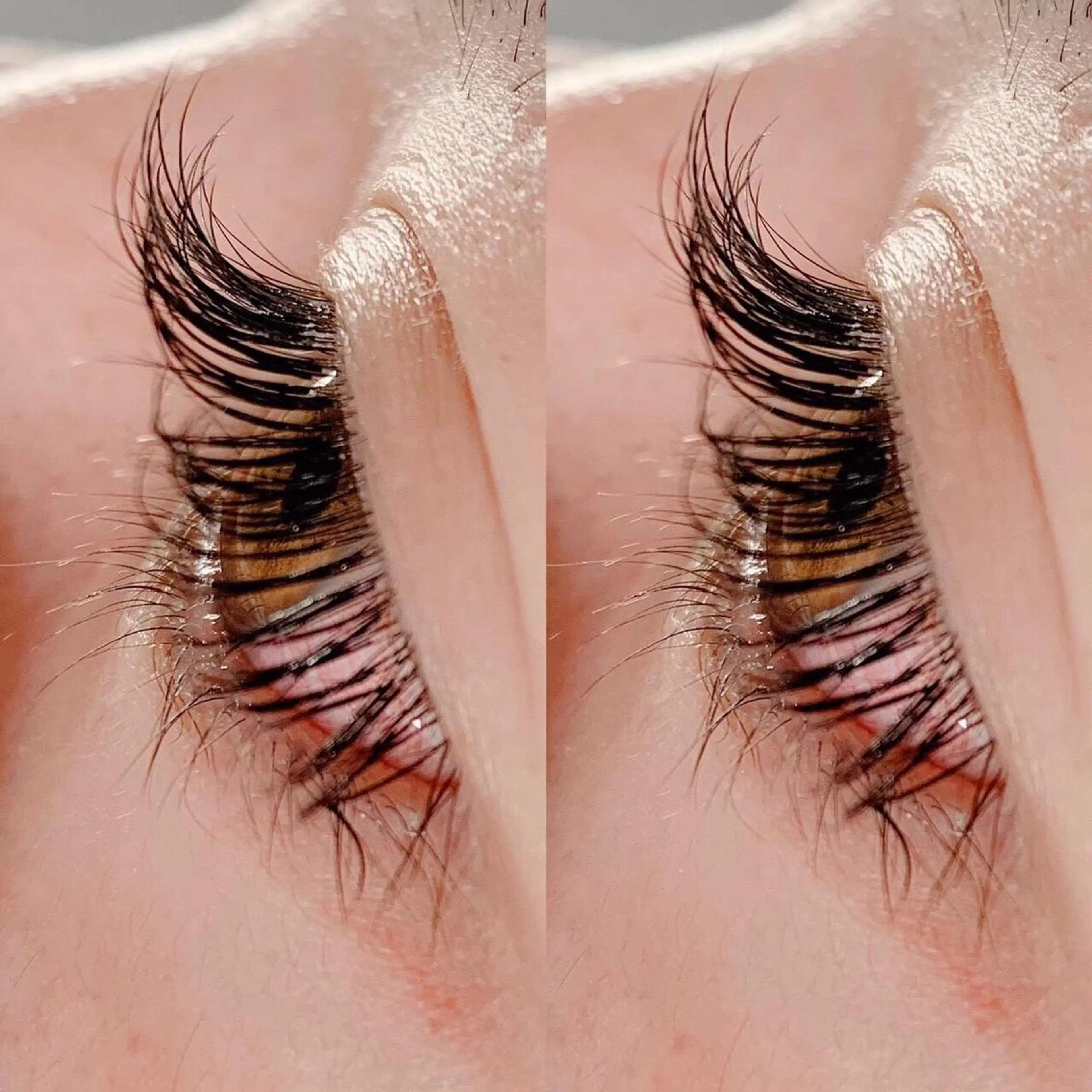 ✨'オフ込み'高級毛質セーブル90分付け放題🏆メイクが楽になります❣️😊の写真