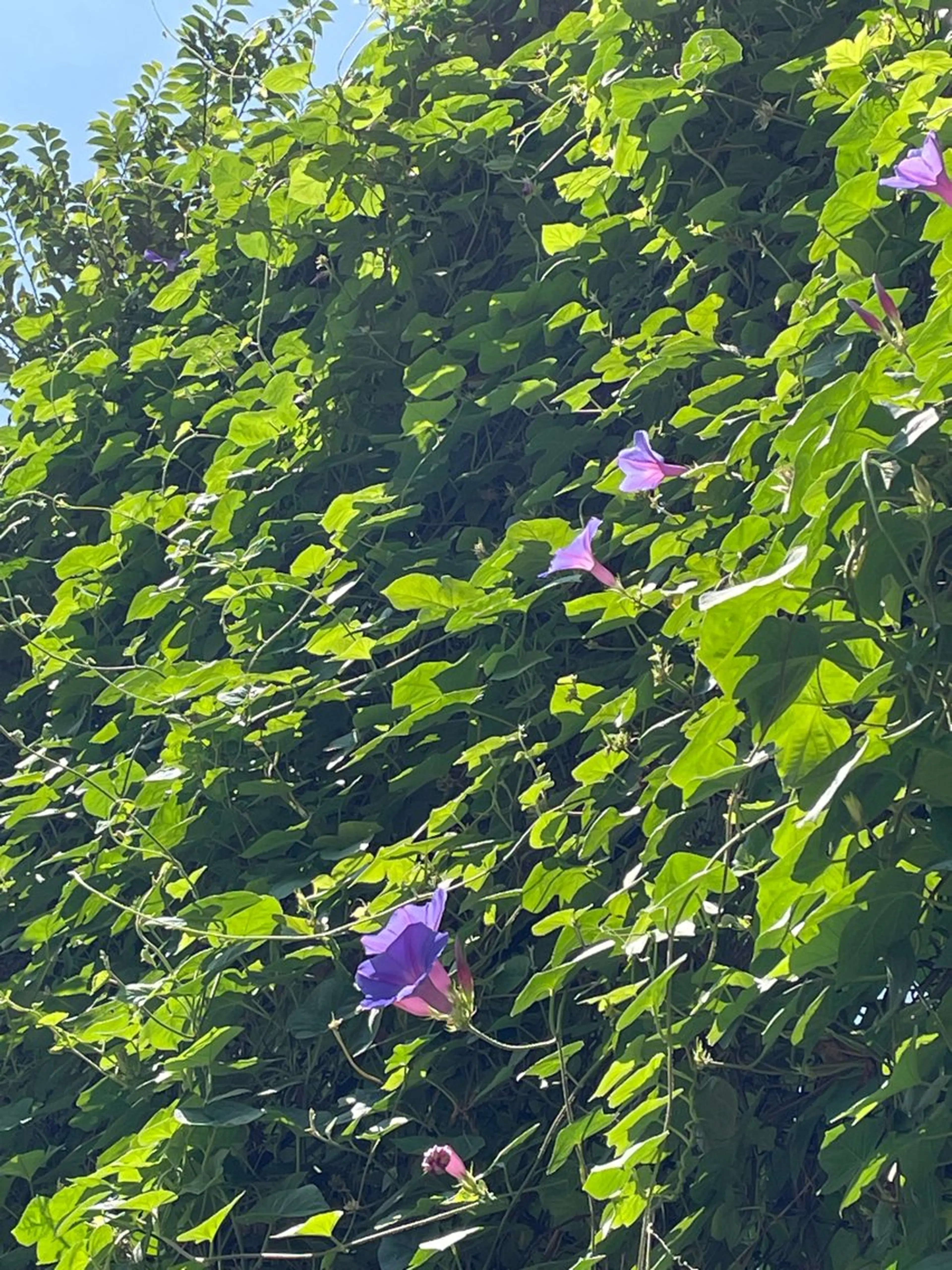 リラク プライベートサロン 花水月のエステ・リラクイメージ