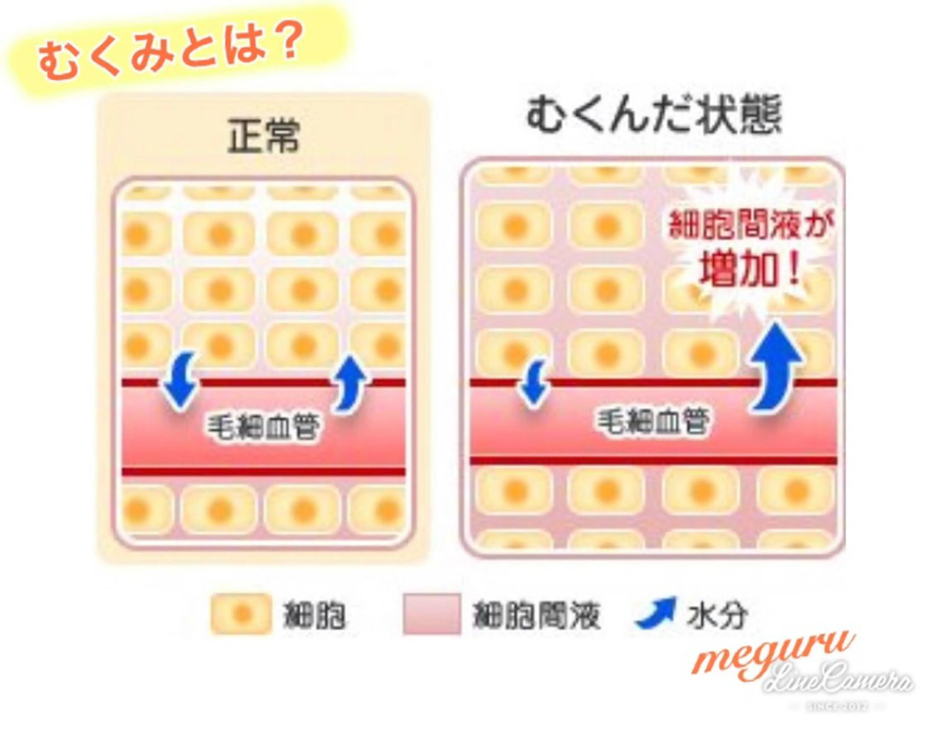 ショート カラー パーマ ヘアアレンジ メンズ キッズ ネイル マツエク・マツパ ‍痩身＆ボディ 結果出し🌟丹野のエステ・リラクイメージ