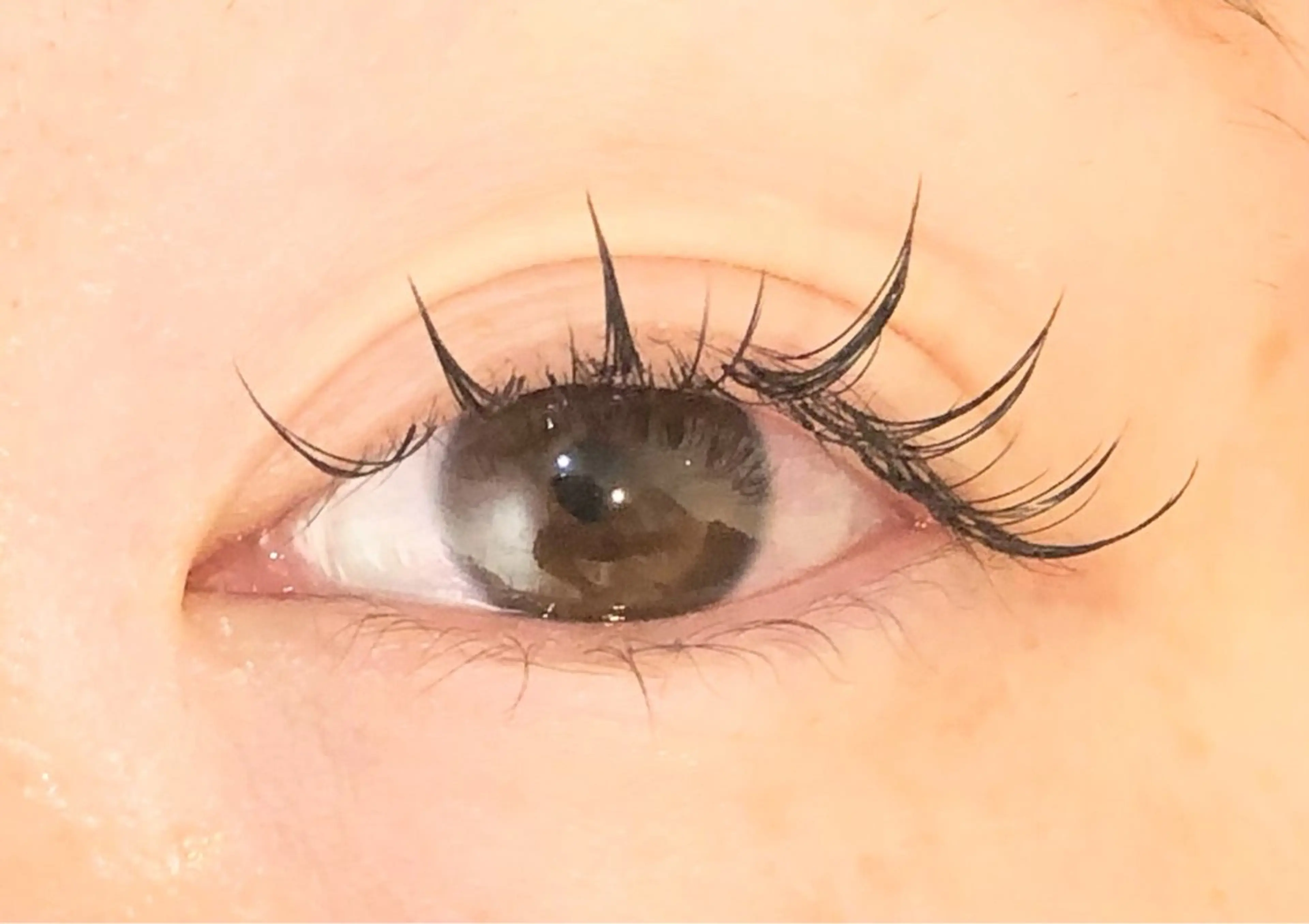 マツエク・マツパ ワンホンマツエク BELINDA 24のマツエク・マツパデザイン