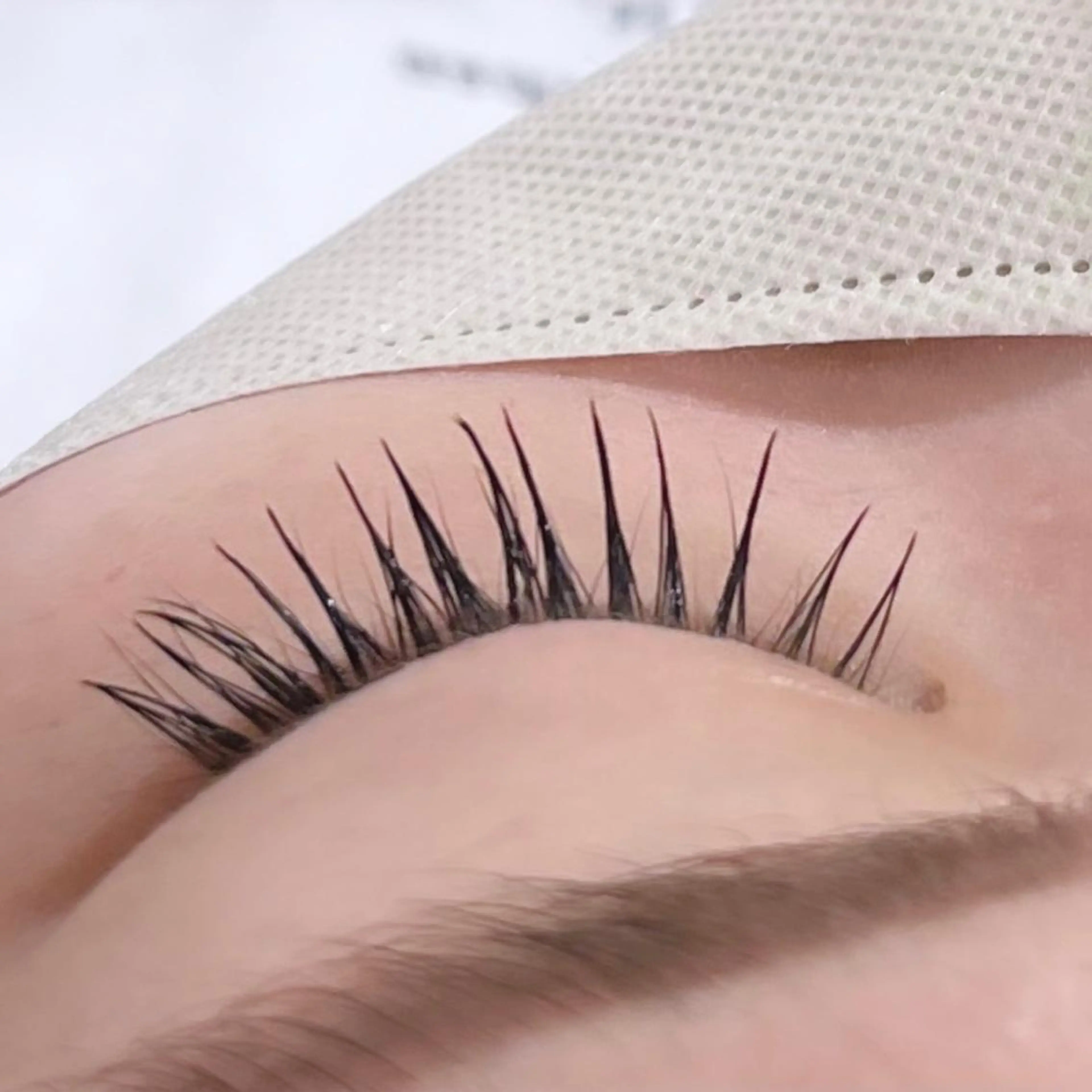 マツエク・マツパ 山脇🐋🤍 アンジェリカ錦糸町のマツエク・マツパデザイン