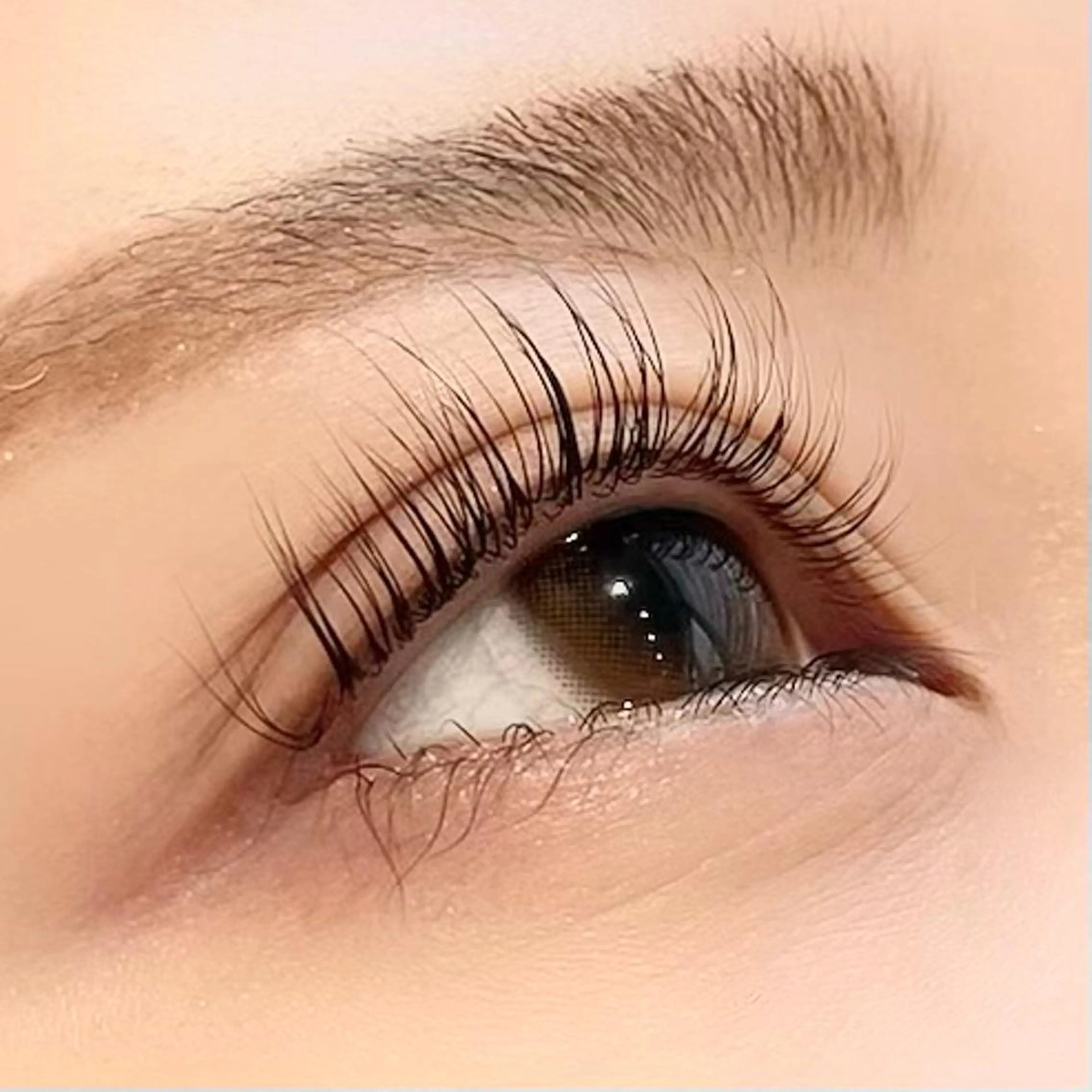 マツエク・マツパ パリジェンヌラッシュリフト マツパ LED/パリエク Yukariのマツエク・マツパデザイン