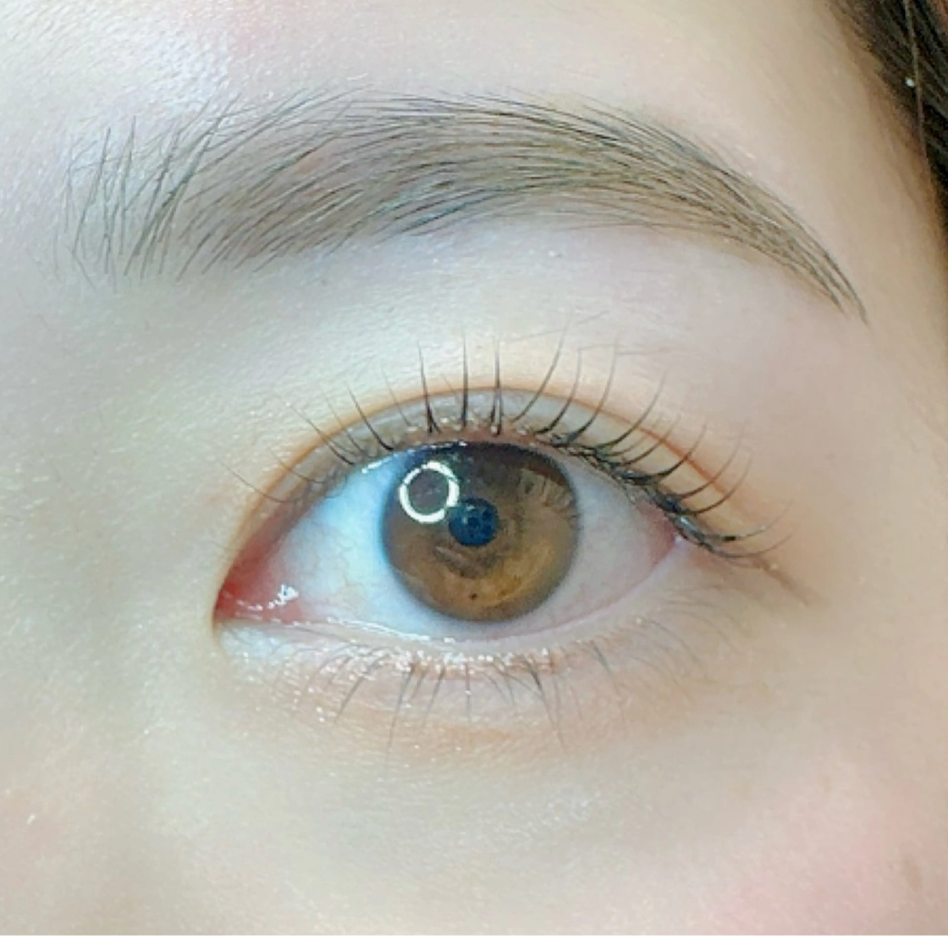 🉐上まつ毛パーマ＋美眉スタイリングWAXの写真