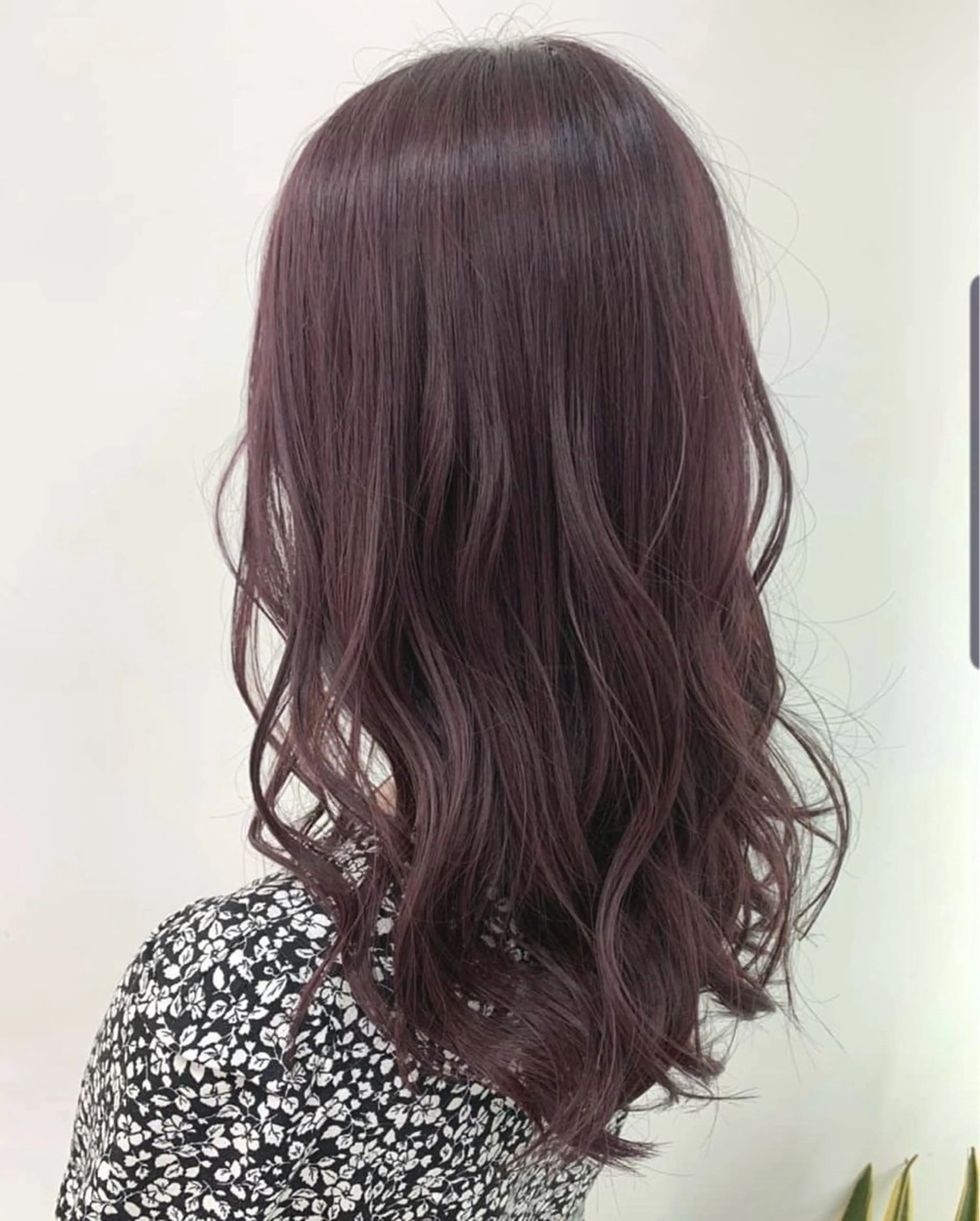 ⭐️アディクシーカラー+3stepトリートメントの写真