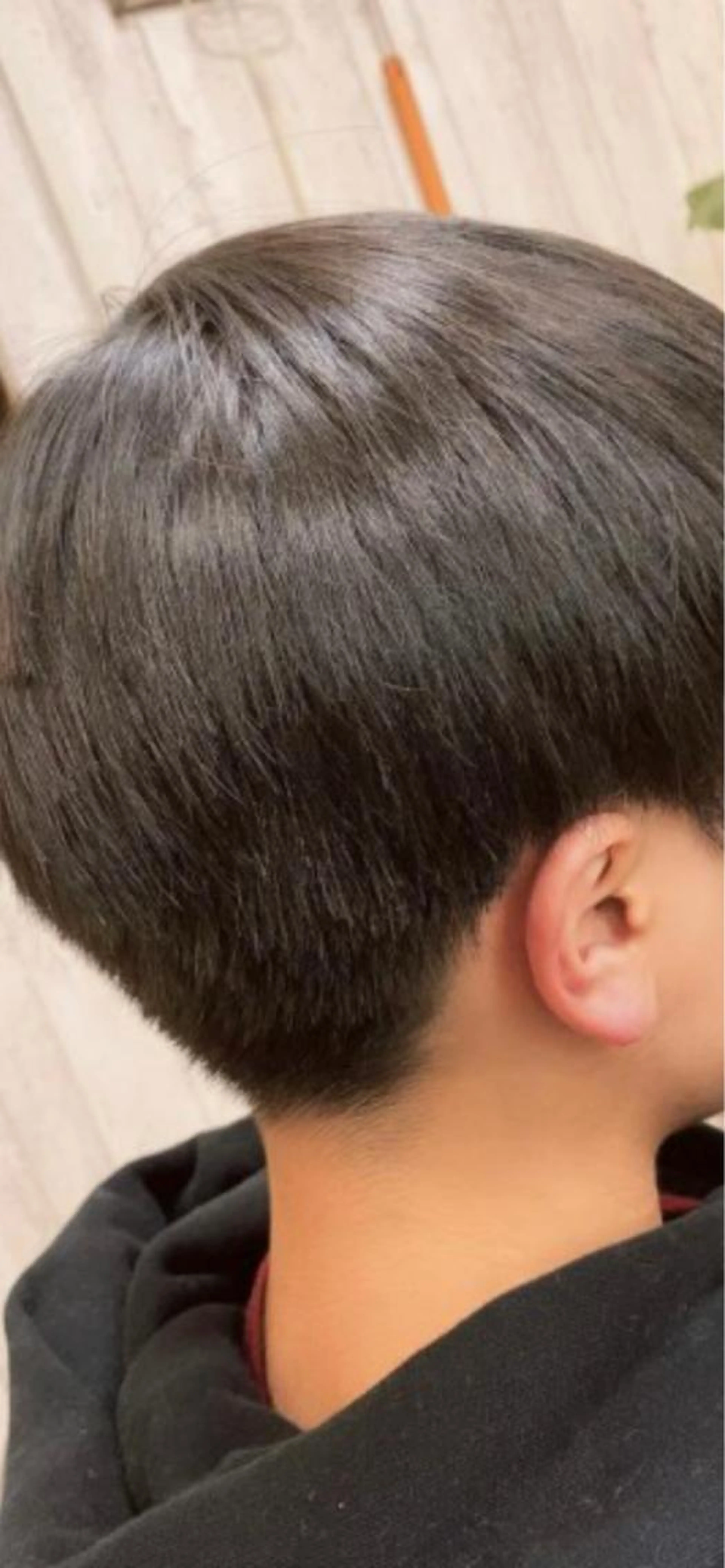 小中学生の写真