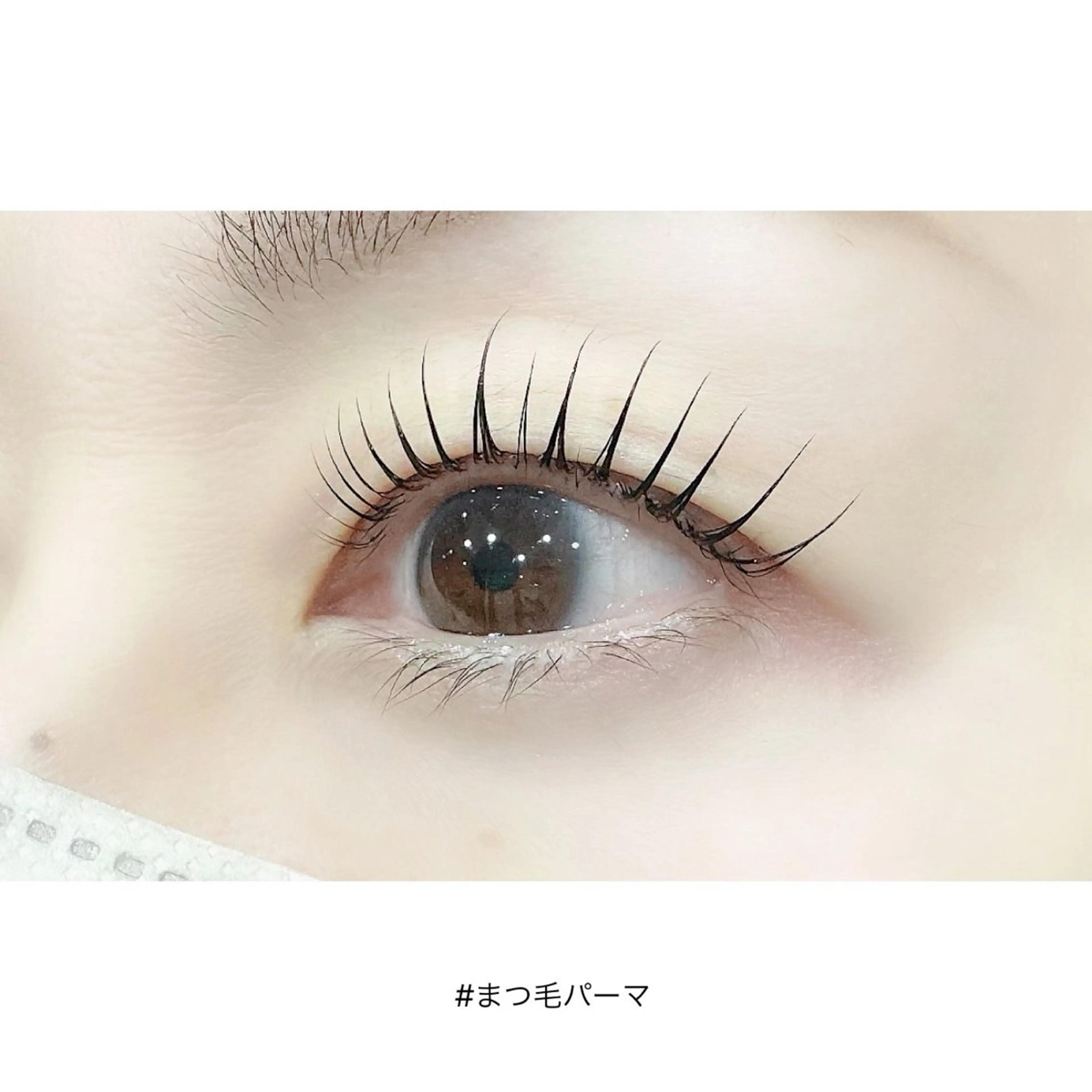 マツエク・マツパ eyelash&nail by KIRARA所属・KIRA RAのマツエク・マツパデザイン