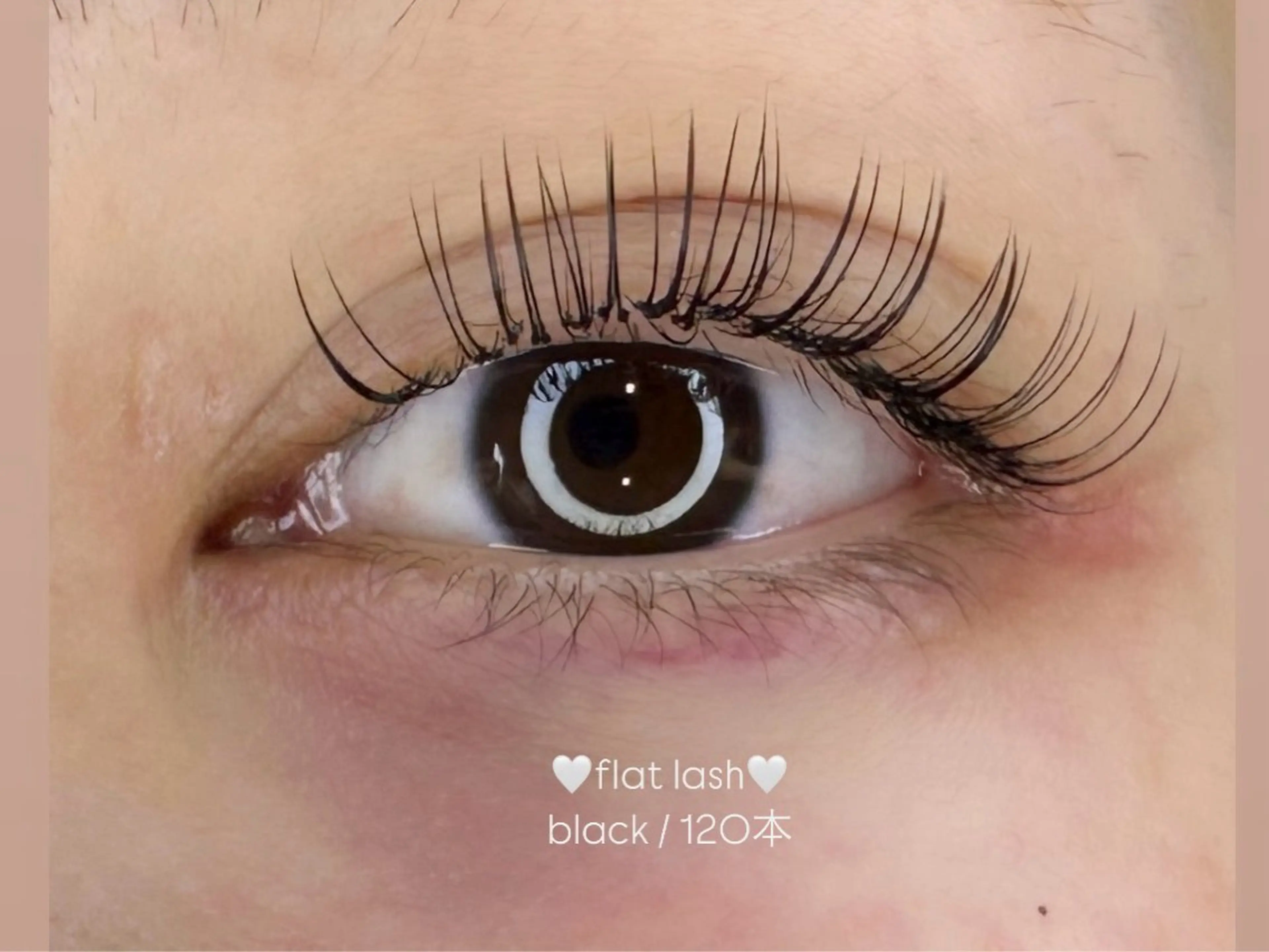 他店オフ無料☆フラットラッシュ120本の写真