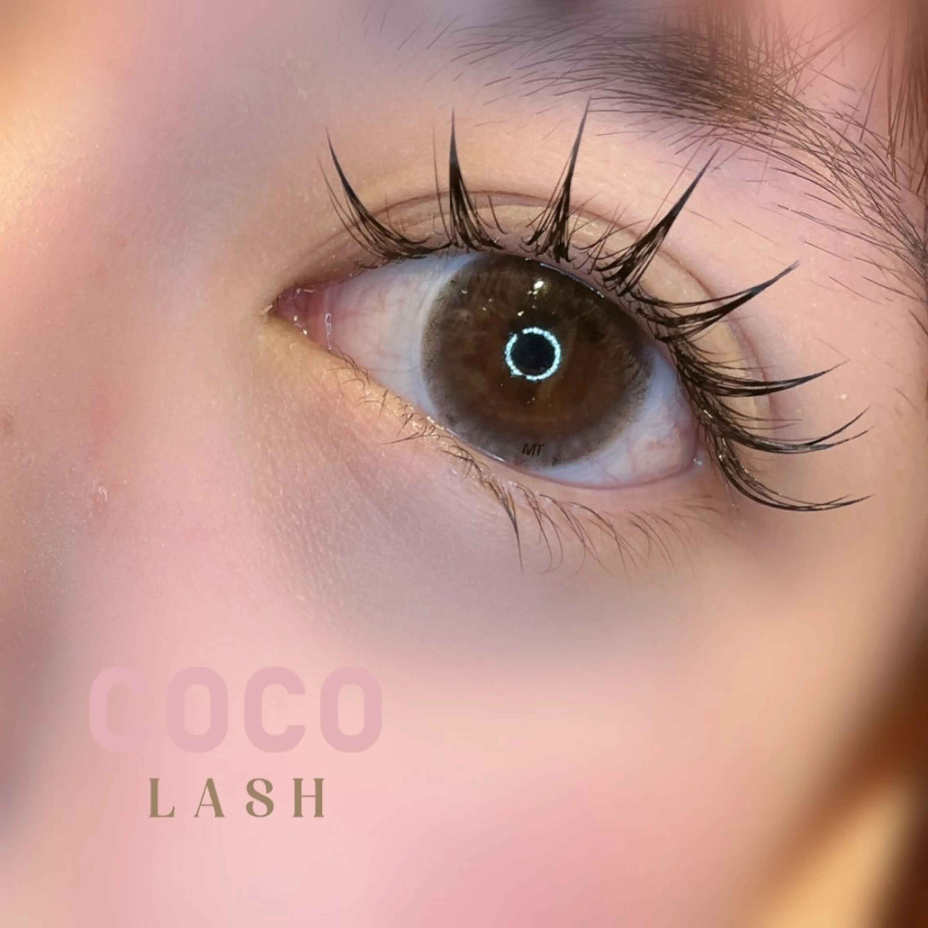 《U24》3D Lash 240本(80束）美容液で束感仕上げ🪄︎︎の写真