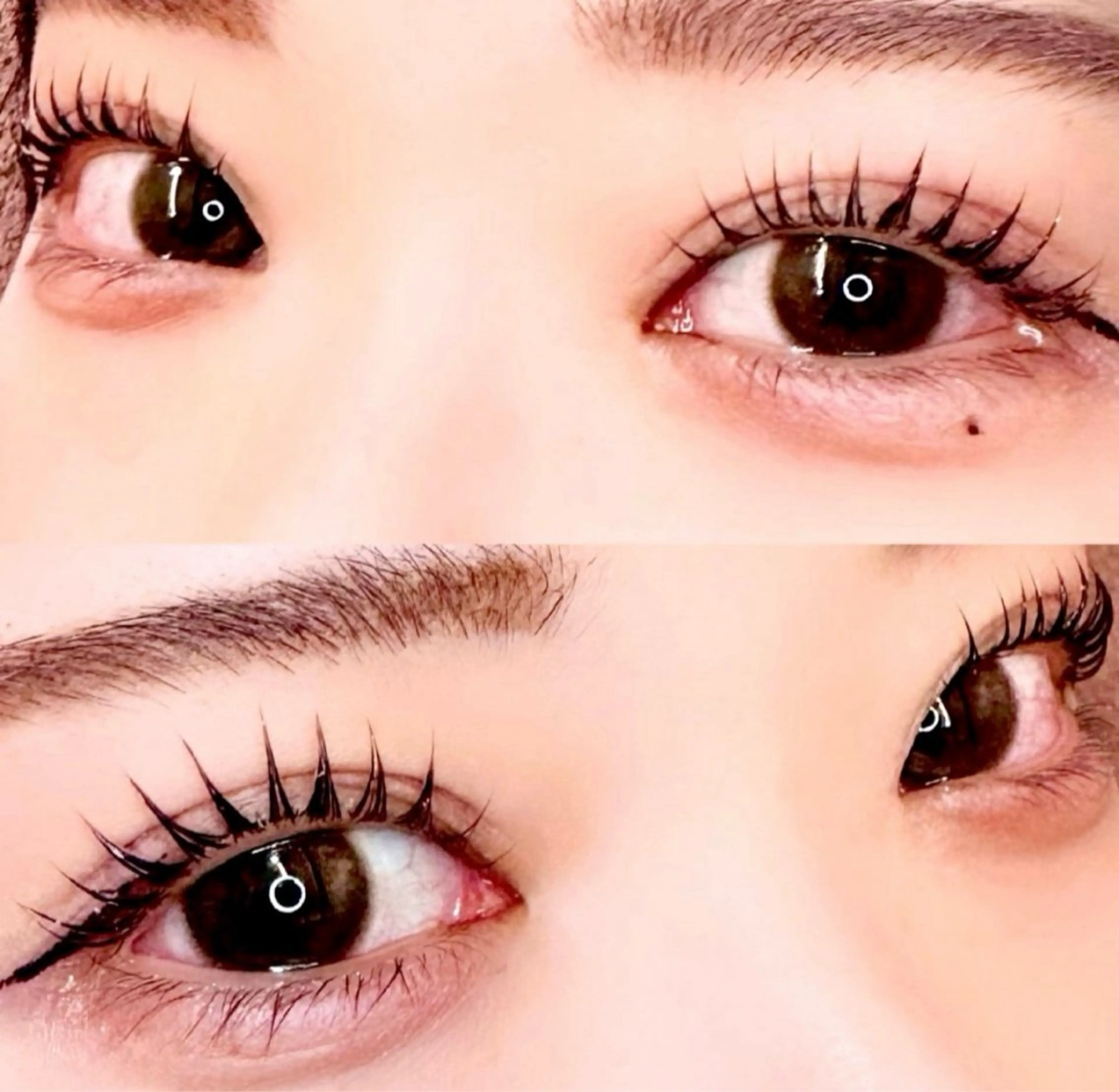 マツエク・マツパ マツパ 🦖fein. YUINA🦕⋆͛のマツエク・マツパデザイン