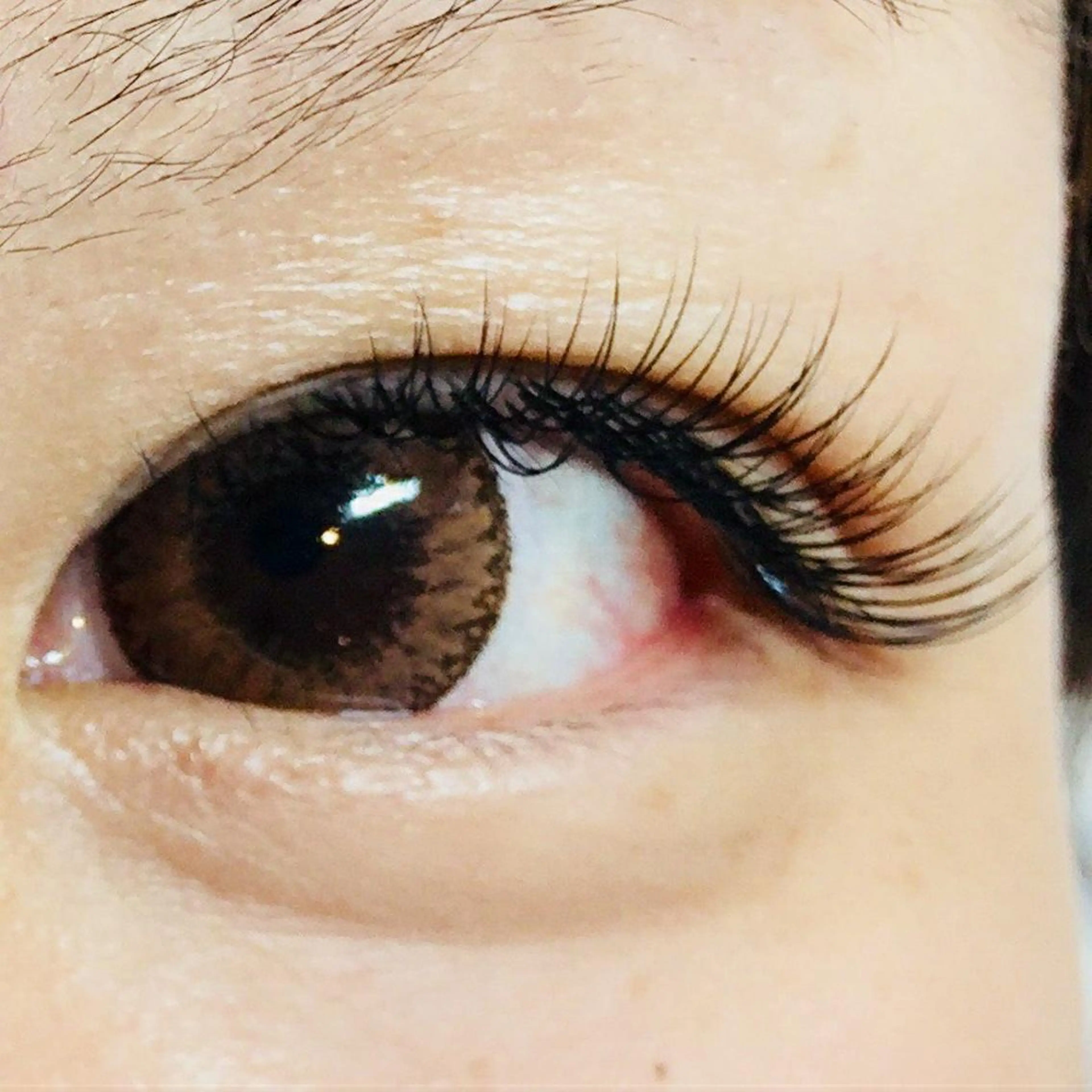 マツエク・マツパ Genesis Plus大津京店のエステ・リラクイメージ