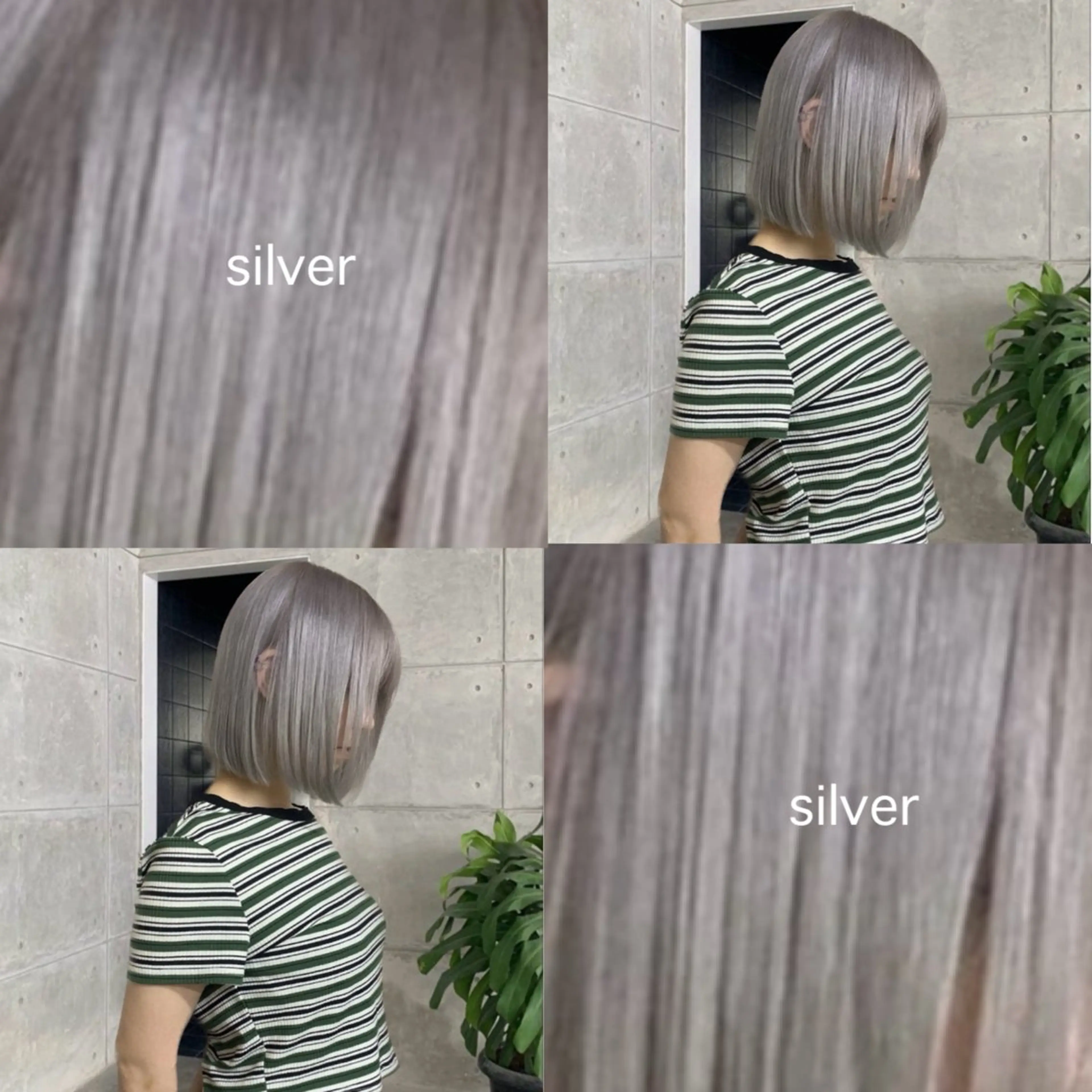 ショート カラー シルバー funo. ／透明感カラーのヘアスタイル