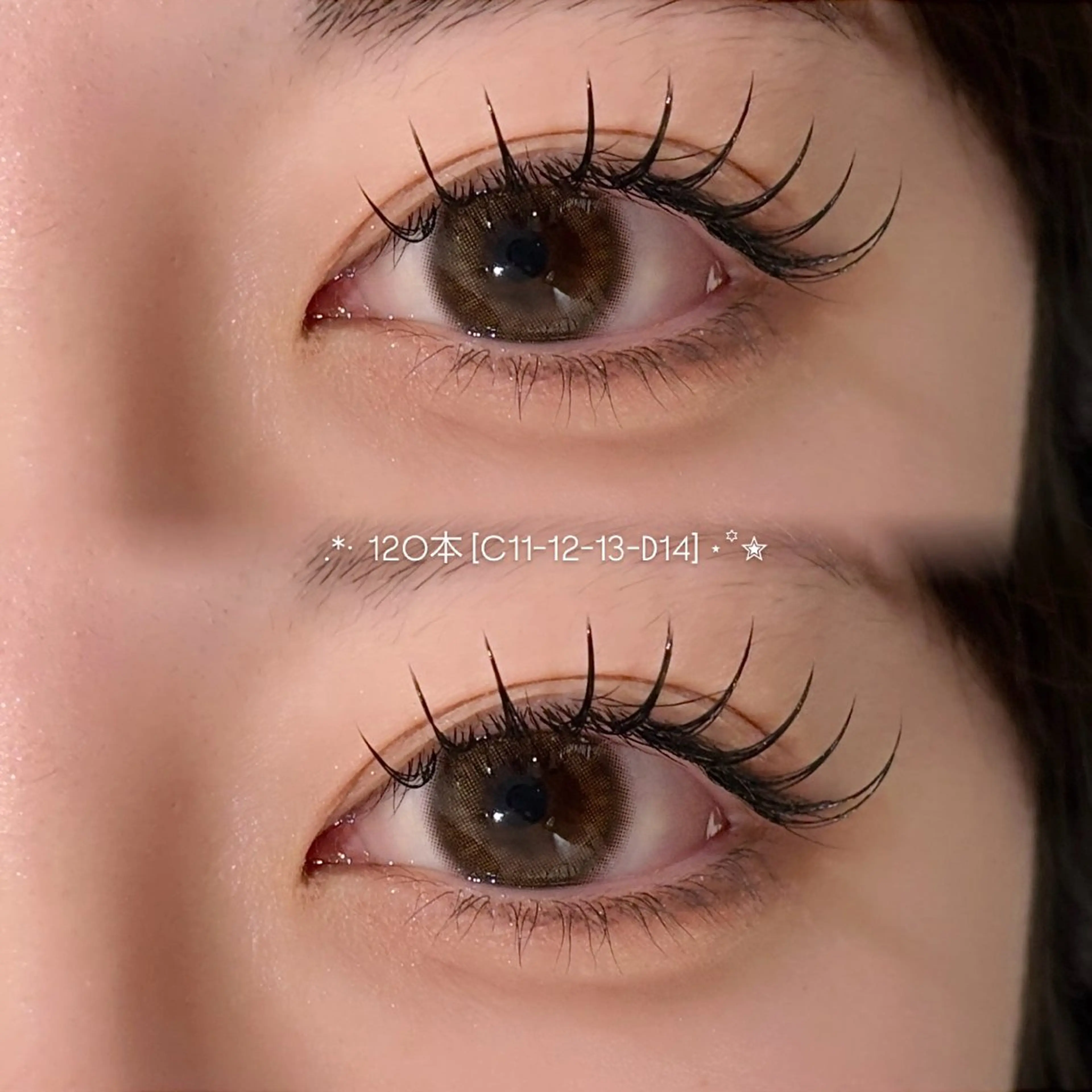 🪽🟤‪《ミニモ学割U24》フラットラッシュ [120本]の写真