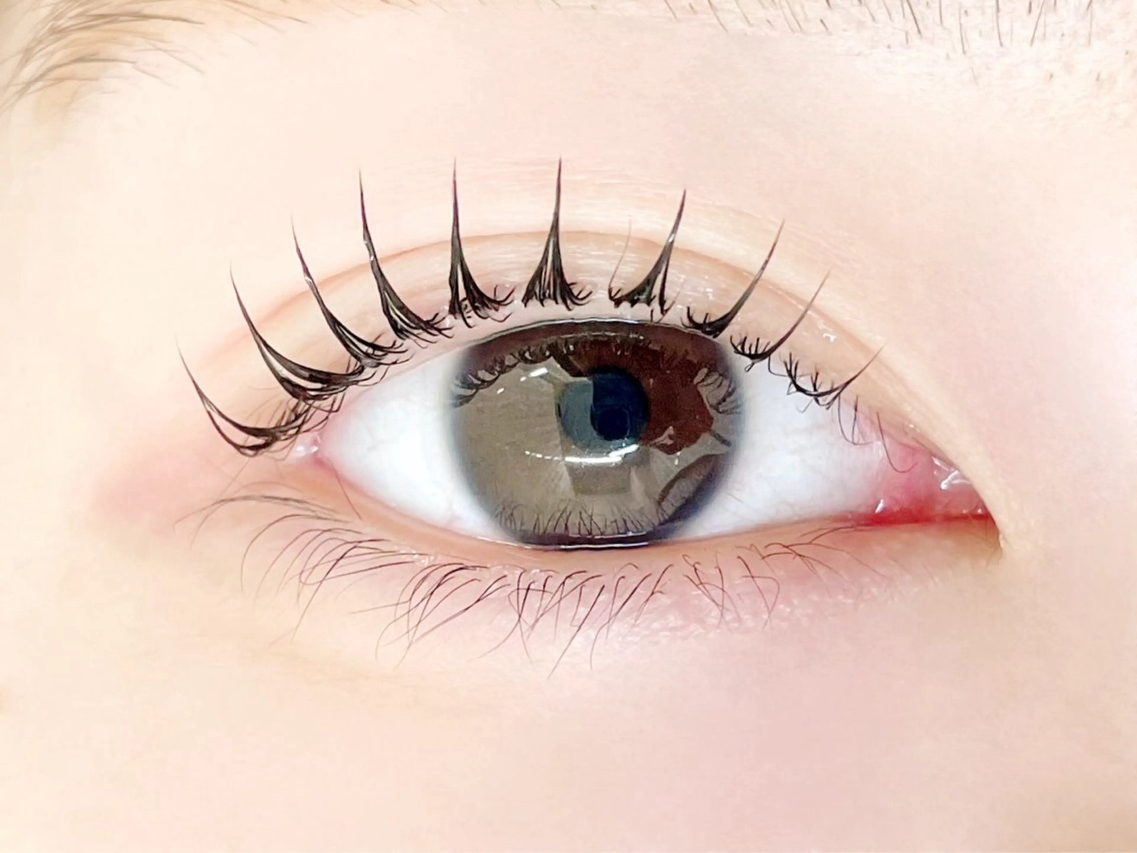 マツエク・マツパ サクラブロウ 猿渡の眉毛・アイブロウイメージ