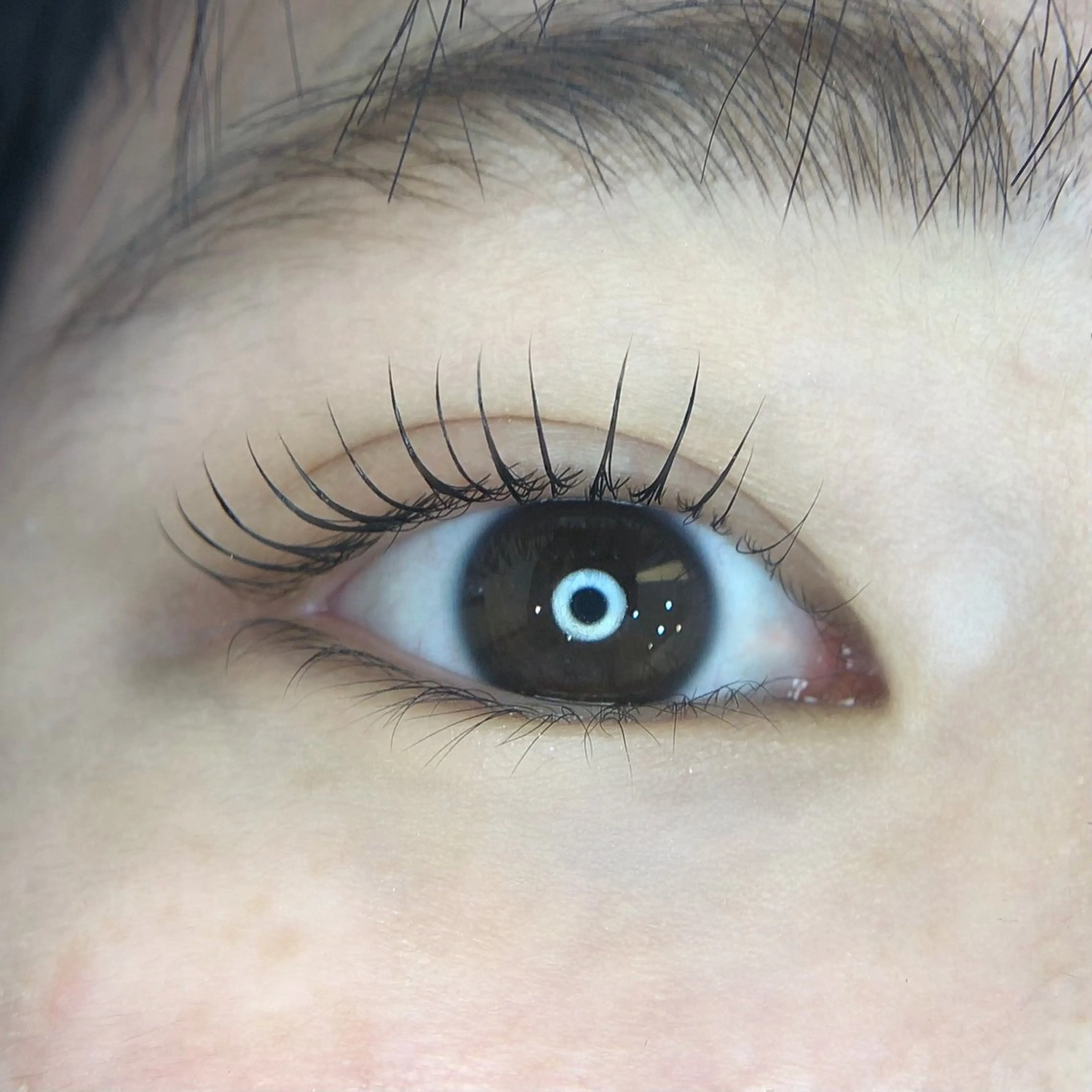 マツエク・マツパ ナチュラル マツパ CERRONE eyelash岩村のマツエク・マツパデザイン