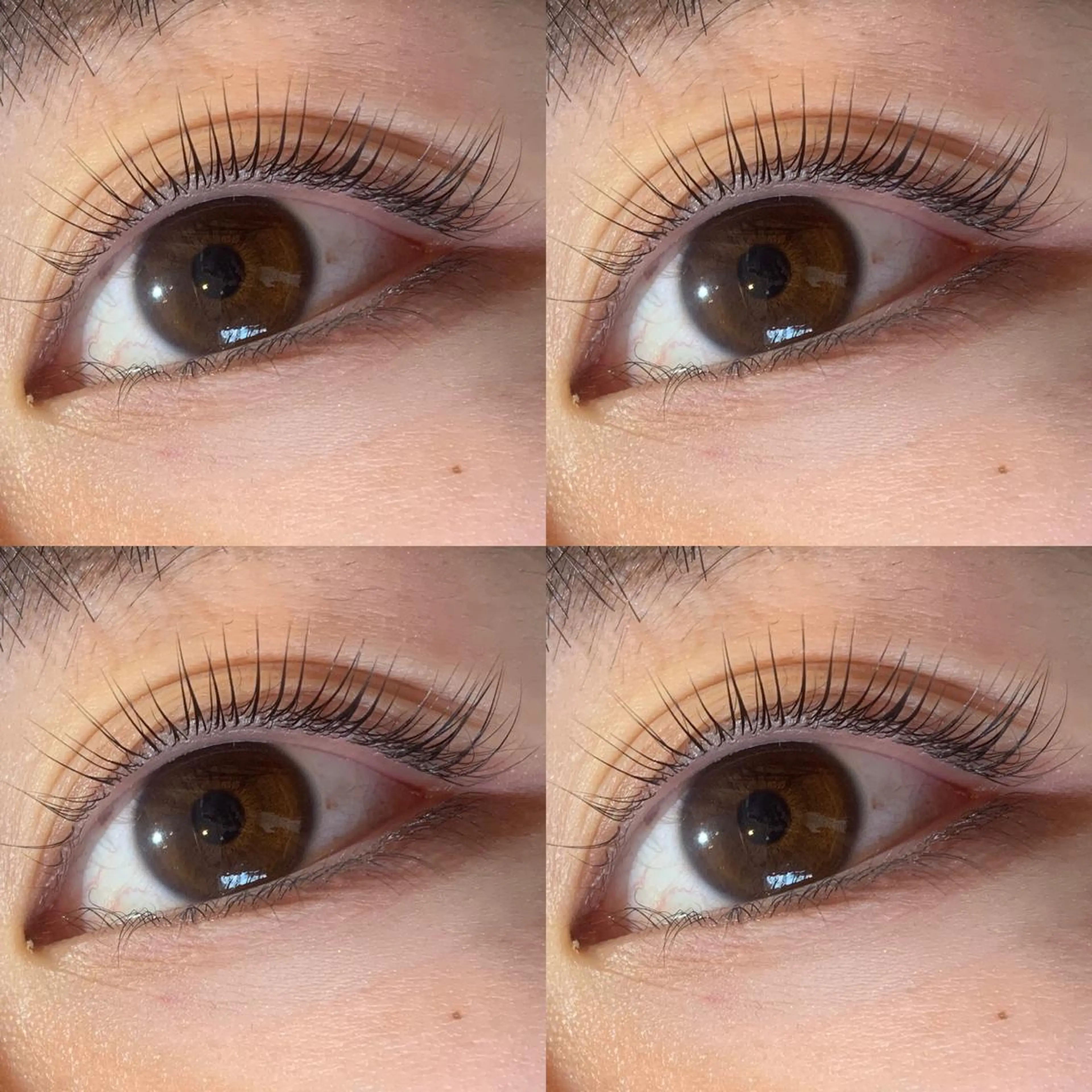 マツエク・マツパ ミンク パリジェンヌラッシュリフト まつげパーマ セーブル 一重×まつ毛パーマ アイラッシュリゾート　カハラ　立川所属・🦎kahala なや🦎のマツエク・マツパデザイン