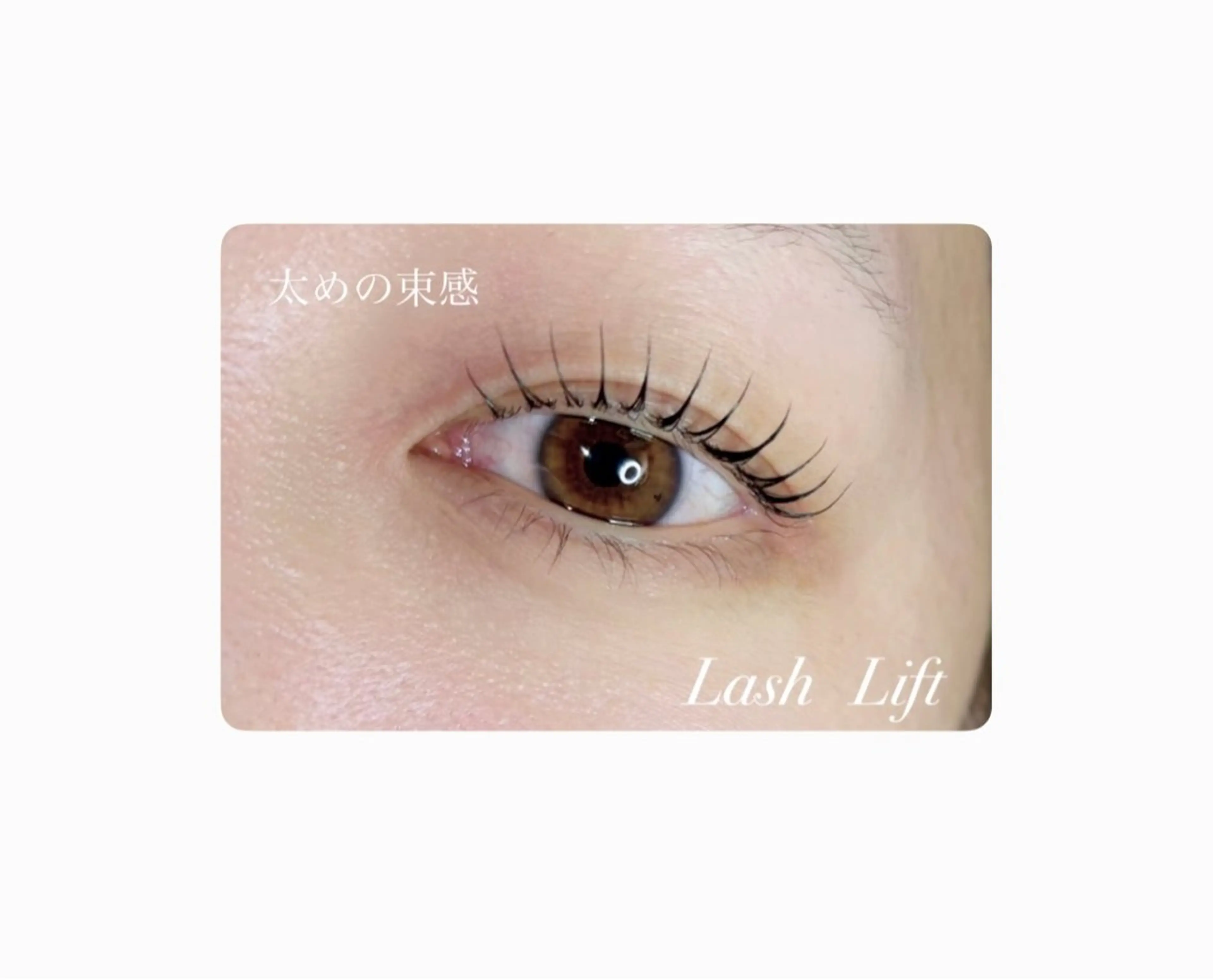 久しぶりの方【Lash Lift】スピーディーな上まつ毛パーマの写真