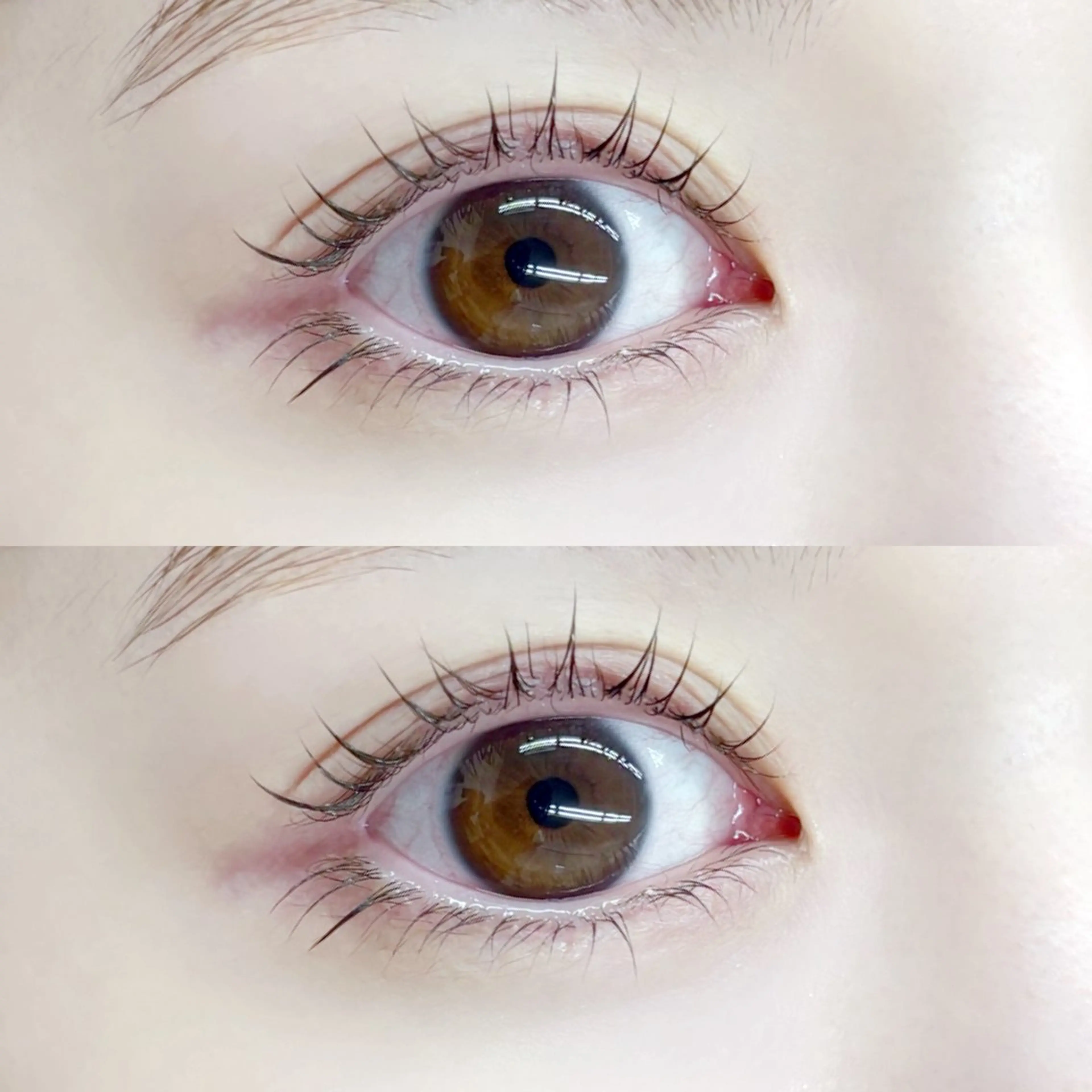 マツエク・マツパ TAKAHASHI 🎀✨韓国風/束感のマツエク・マツパデザイン