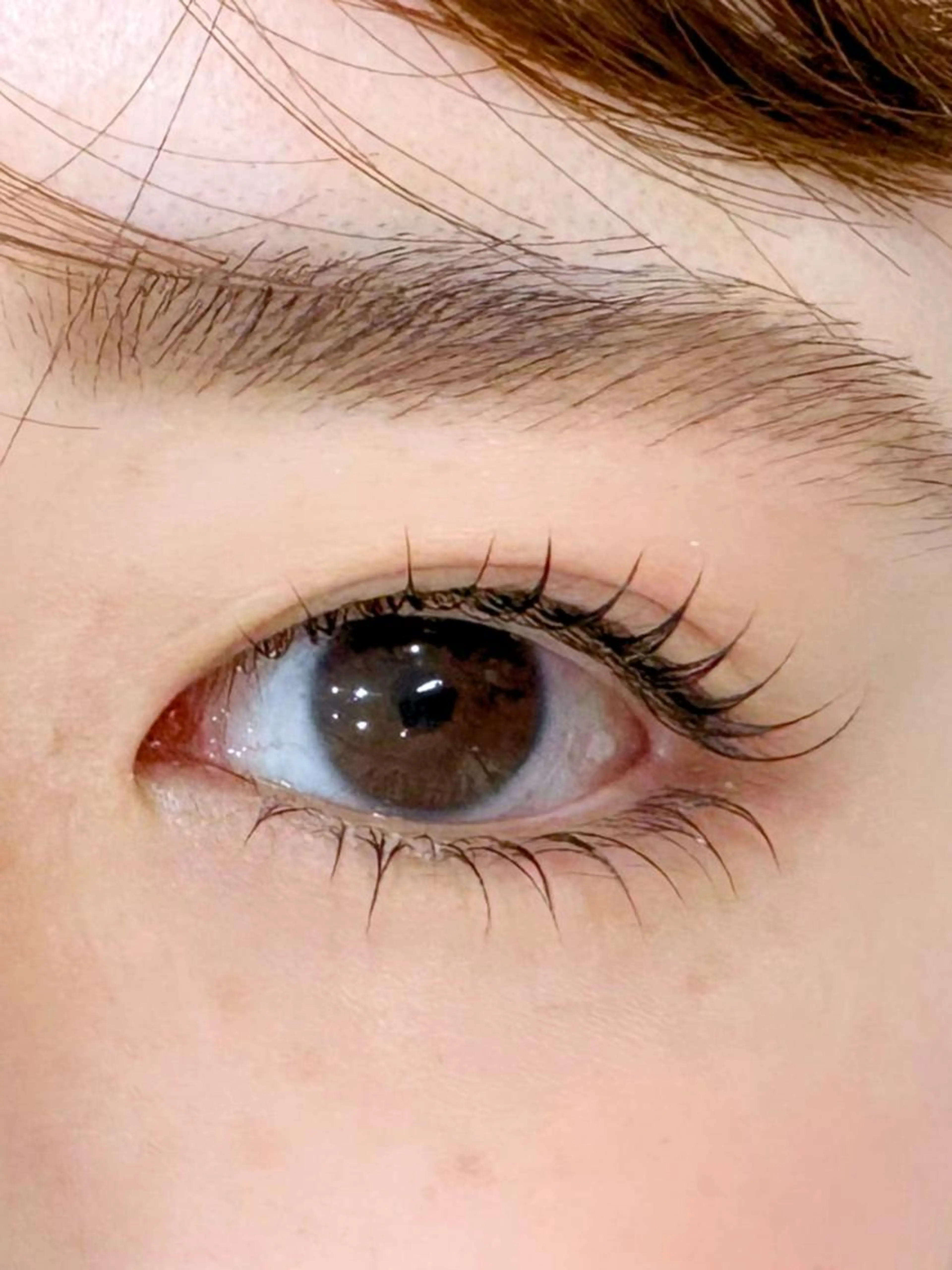 🌟ご新規限定🌟韓国風束感まつ毛✨上下パーマで目元ぱっちり👁️¥7700💕の写真