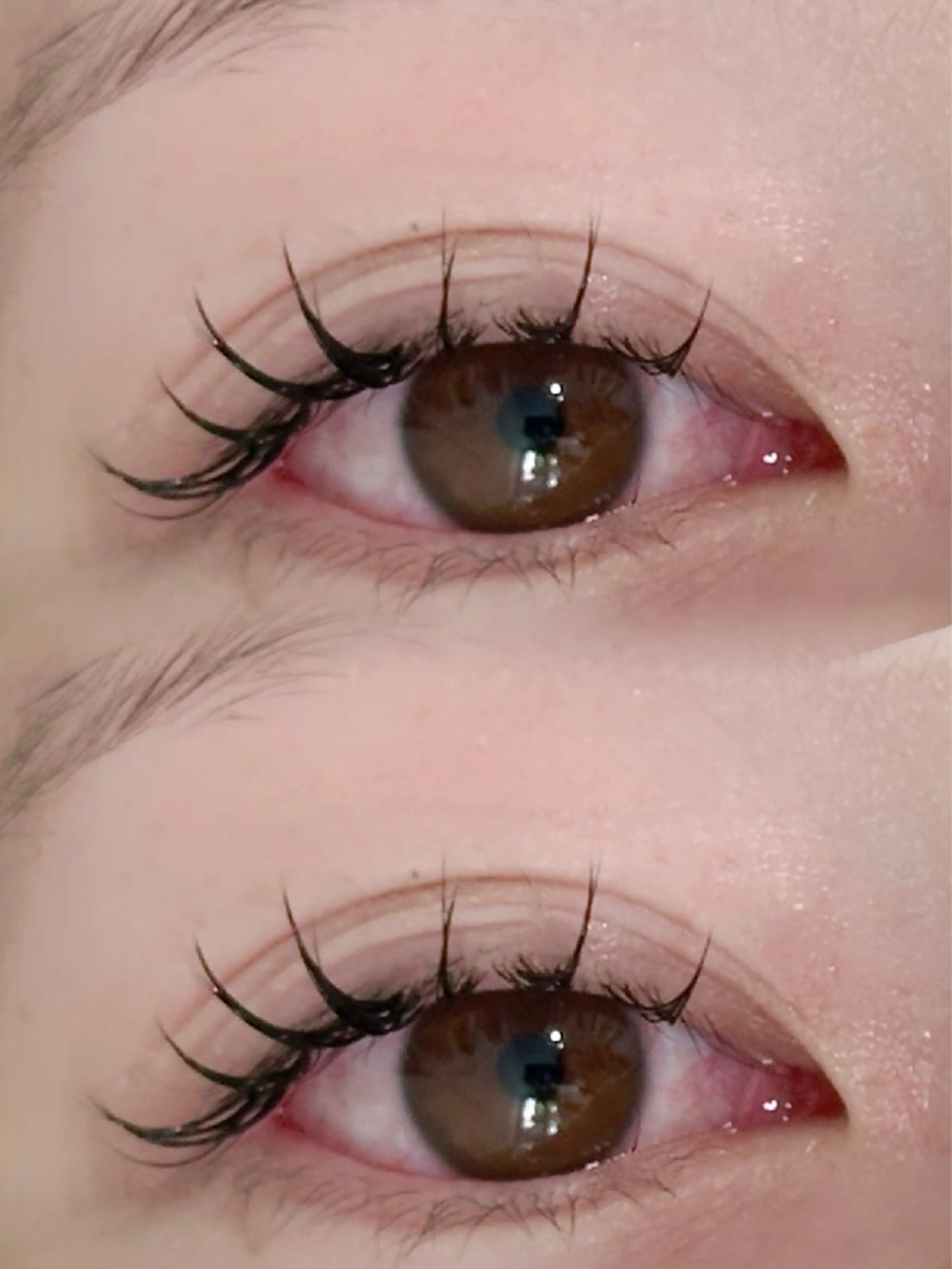 マツエク100本🤎コーティングお仕上げ付き👀(オフなし)の写真