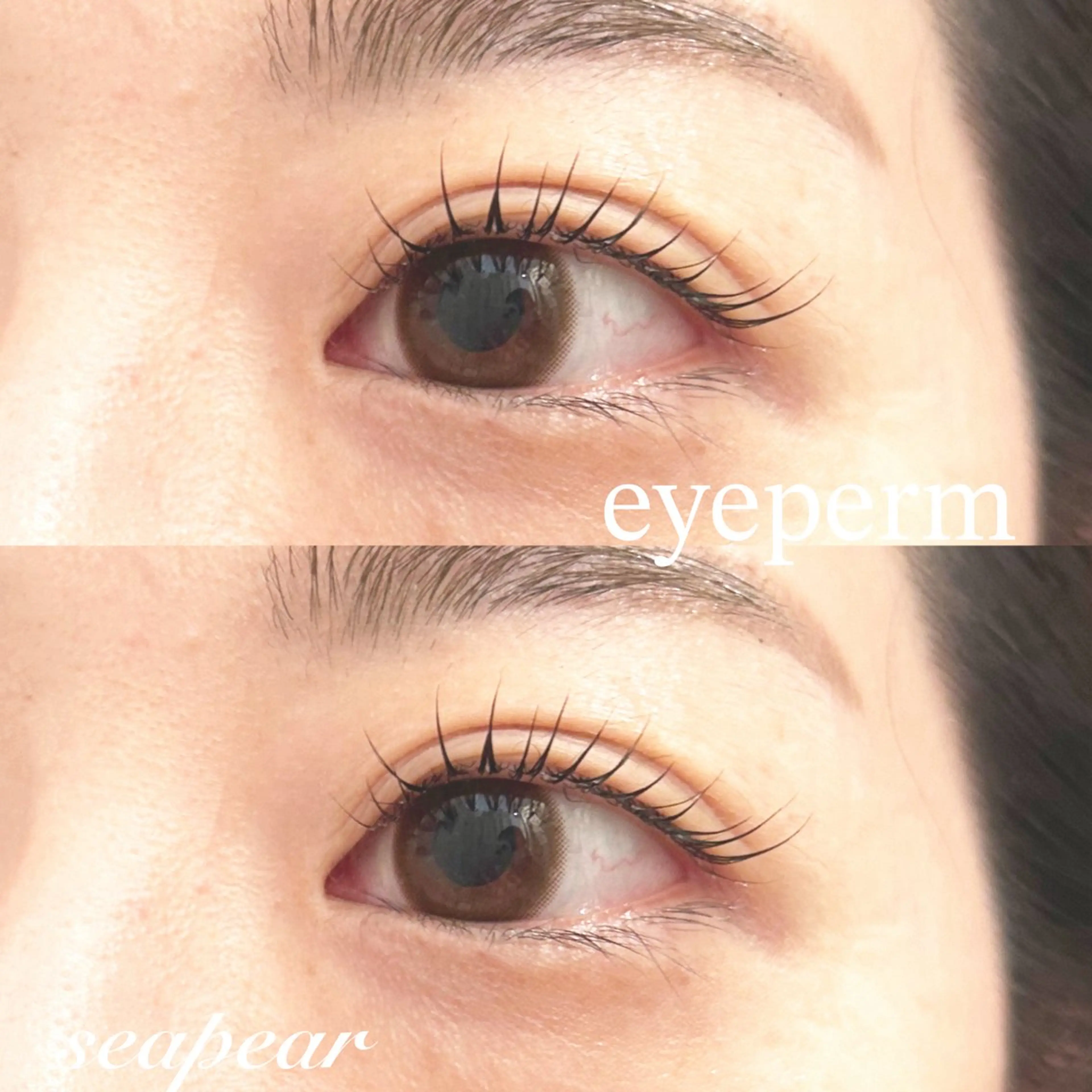 マツエク・マツパ 井上 智絵のマツエク・マツパデザイン