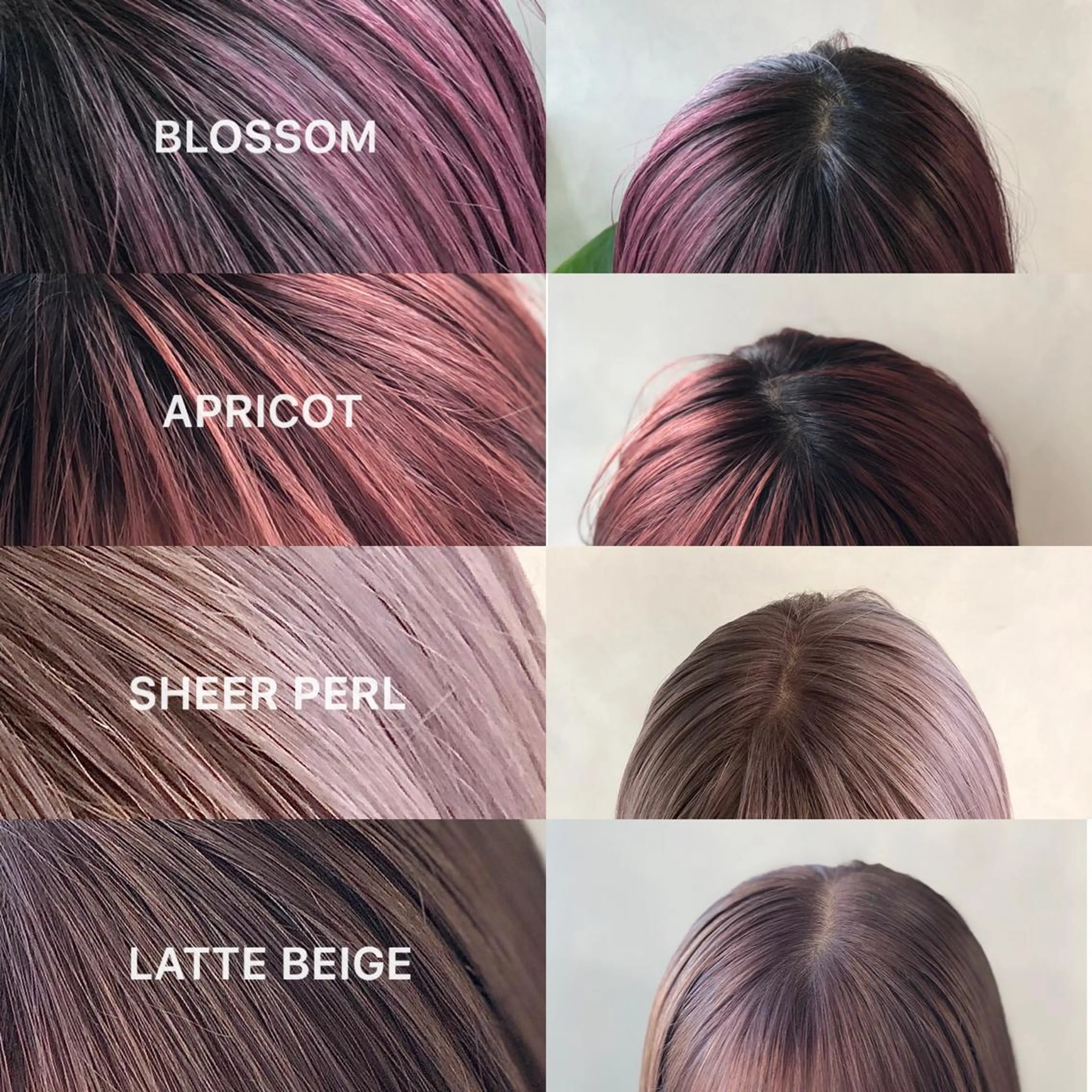 ショート カット ヘアカラー トリートメント 🌸ハイトーン 新田　廉 🌸のヘアスタイル