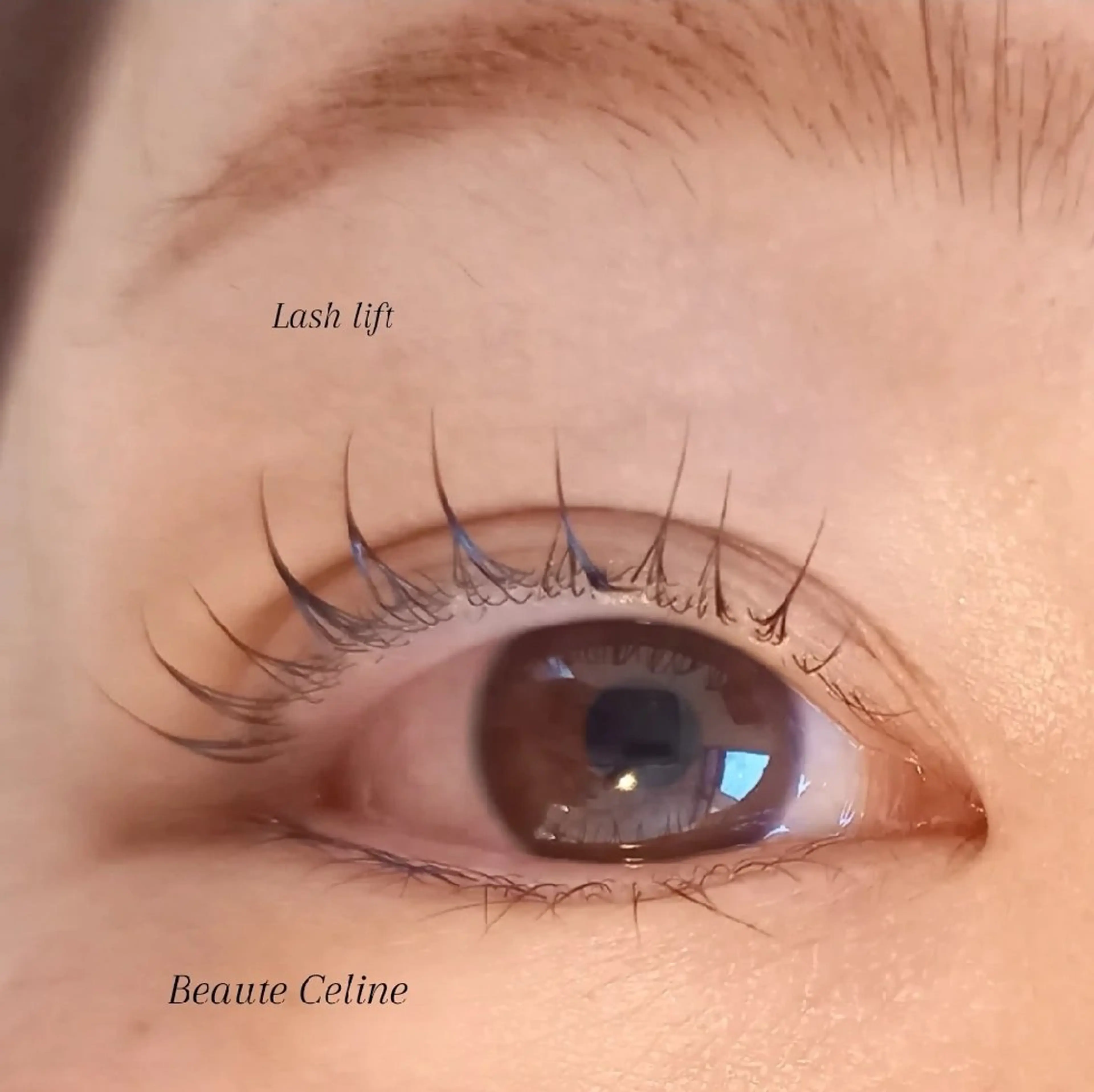 マツエク・マツパ マツパ beaute.celine所属・ぱっちりパーマ🤎 ﾎﾞｰﾃCelineのマツエク・マツパデザイン