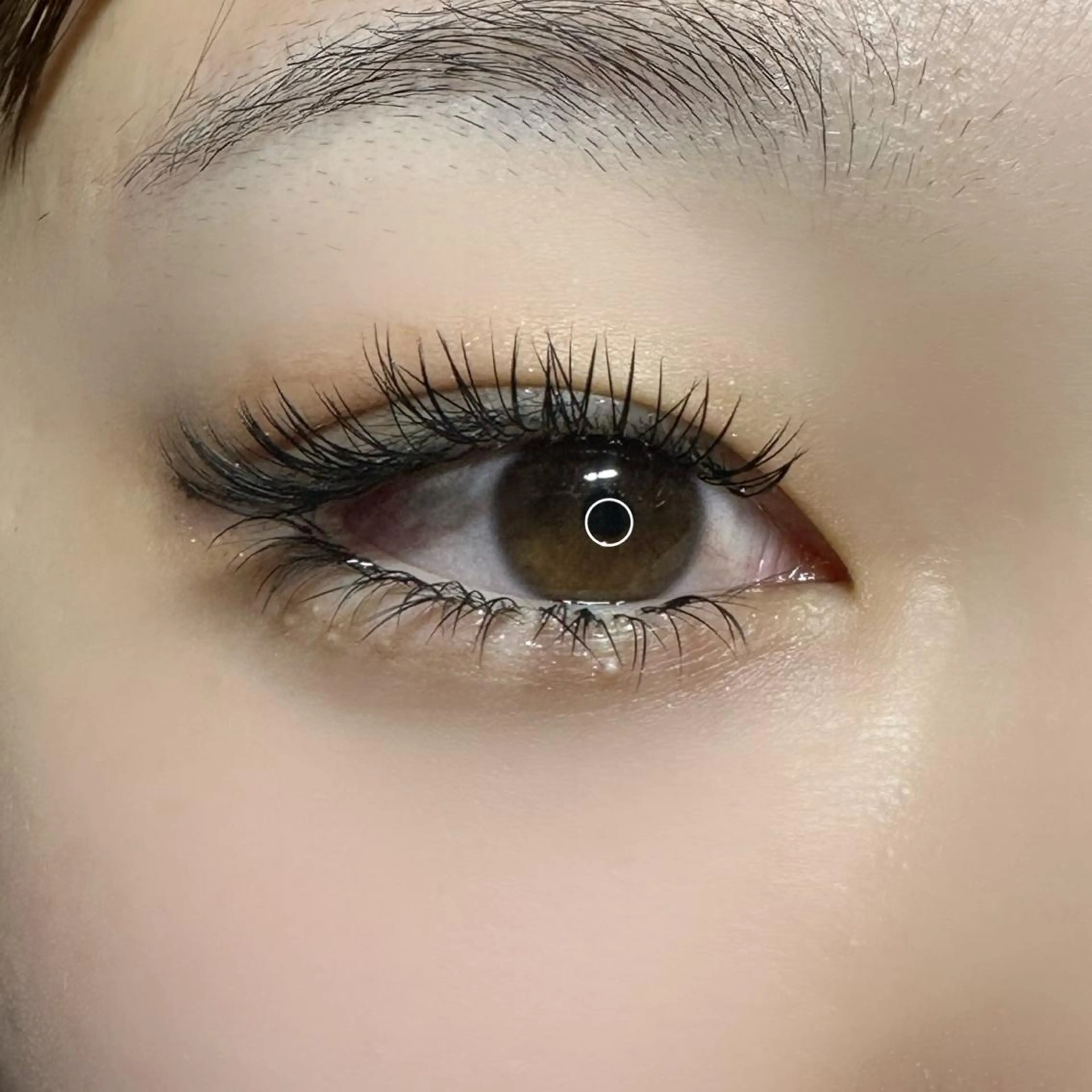 ☆下まつげ付け放題☆の写真