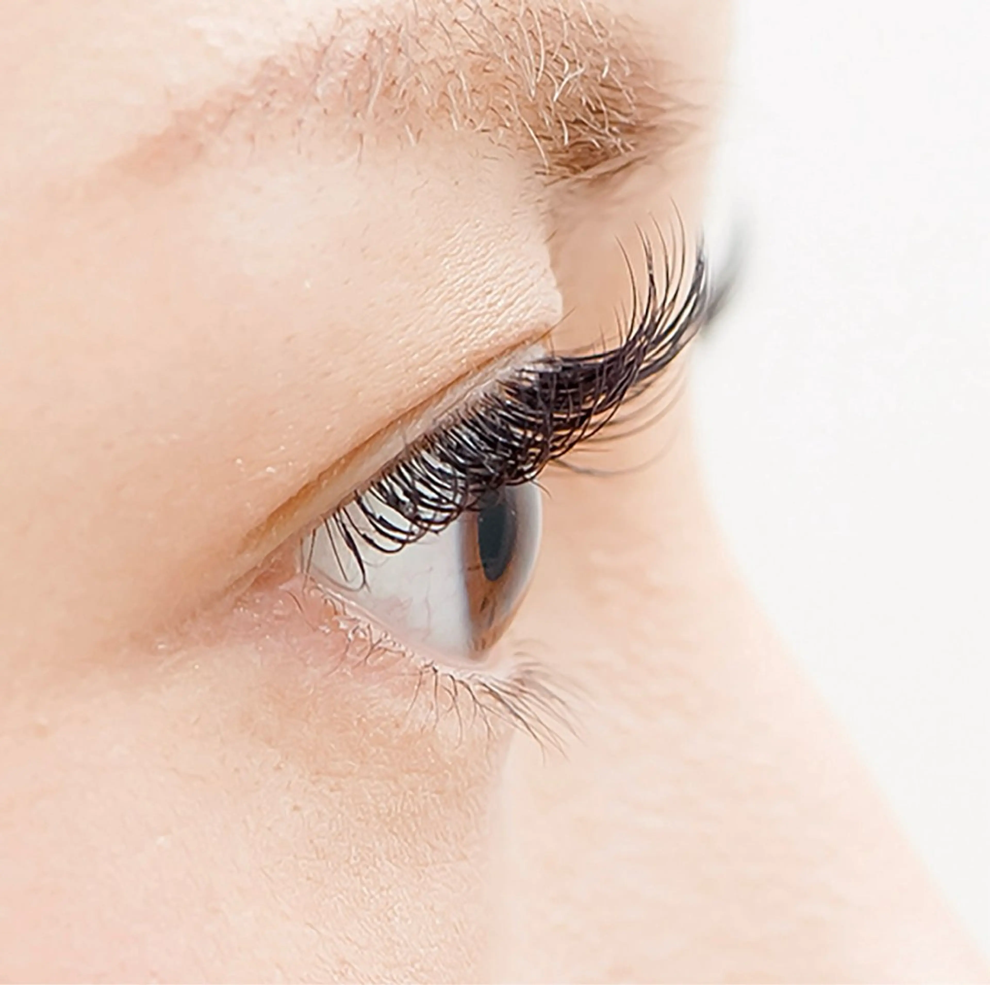 フラットラッシュ マツエク 60本の写真