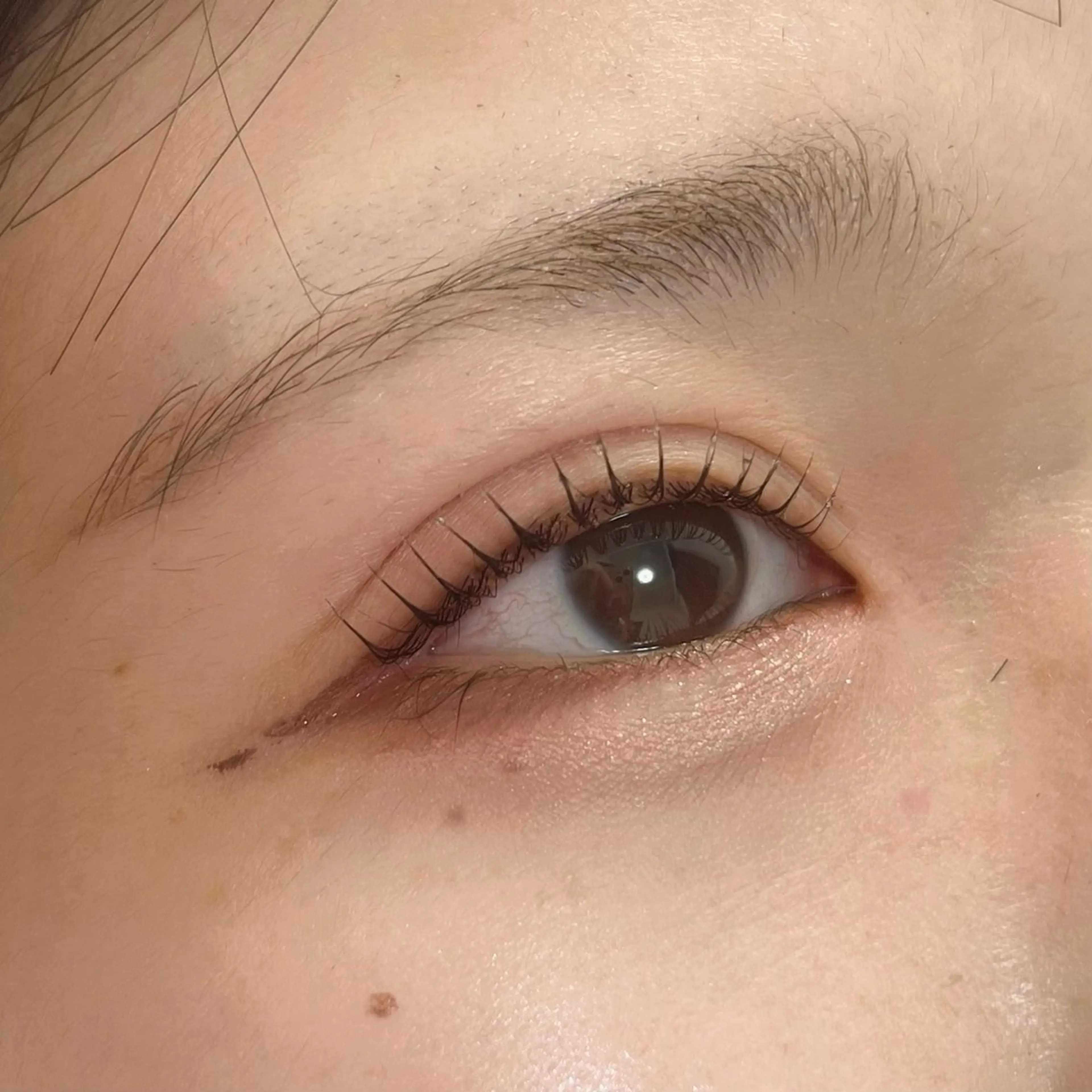 マツエク・マツパ パリジェンヌラッシュリフト HARUNA/まつ毛 パーマ🩵マツエクのマツエク・マツパデザイン