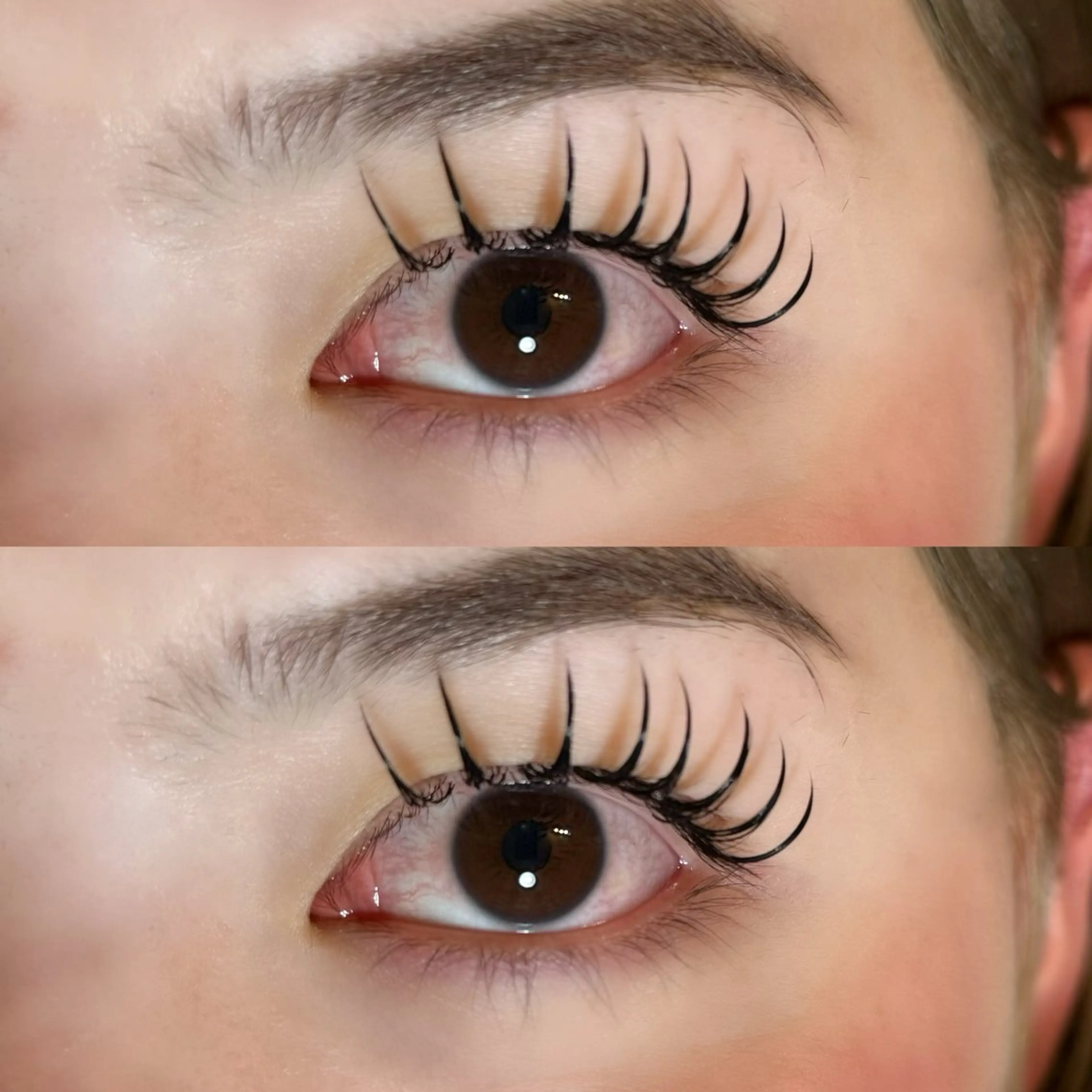 マツエク・マツパ バインドロック マツエク 🐾ROAR🐾 HAZUKIのマツエク・マツパデザイン