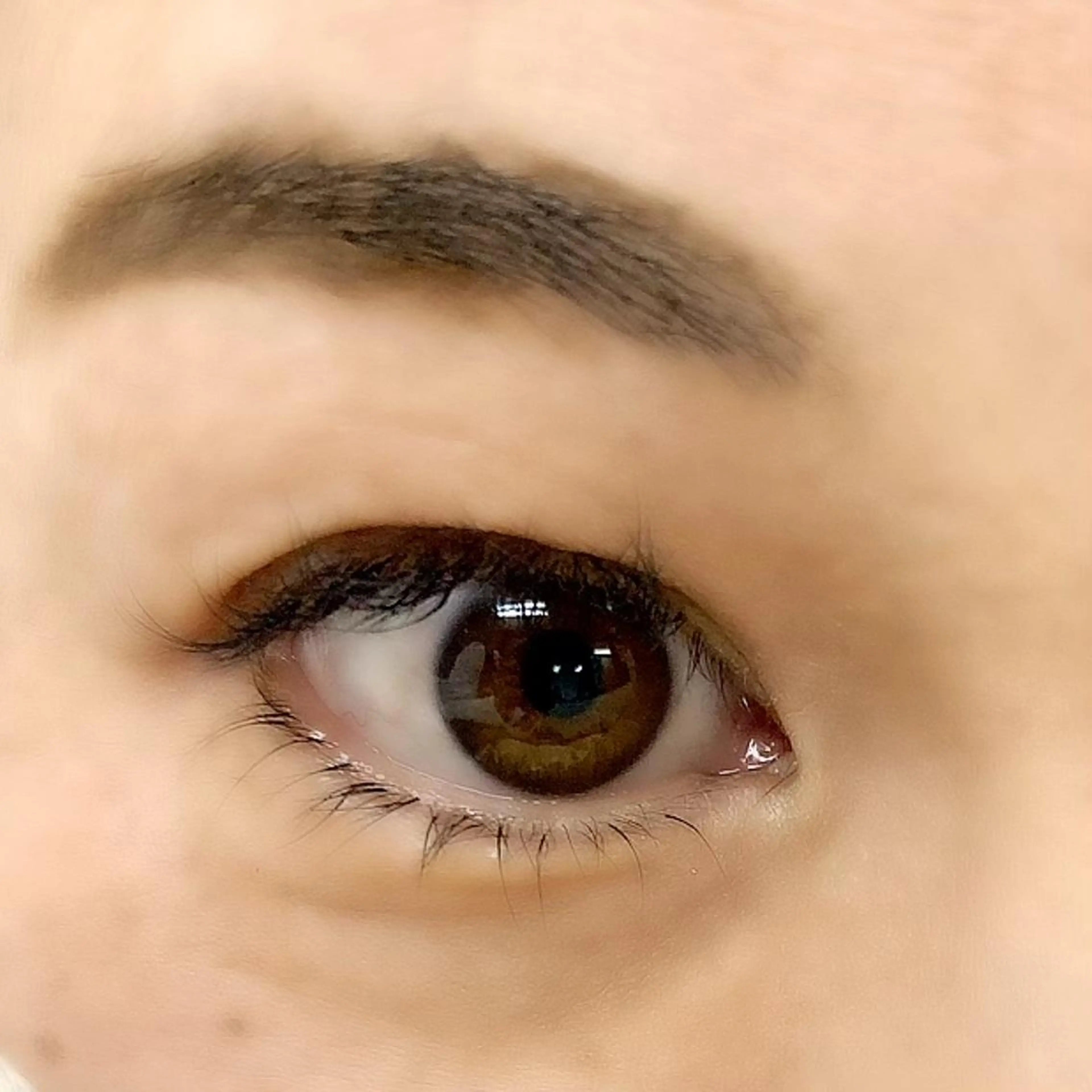 マツエク・マツパ 下まつげエクステ アイブロウワックス モデル募集の眉毛・アイブロウイメージ