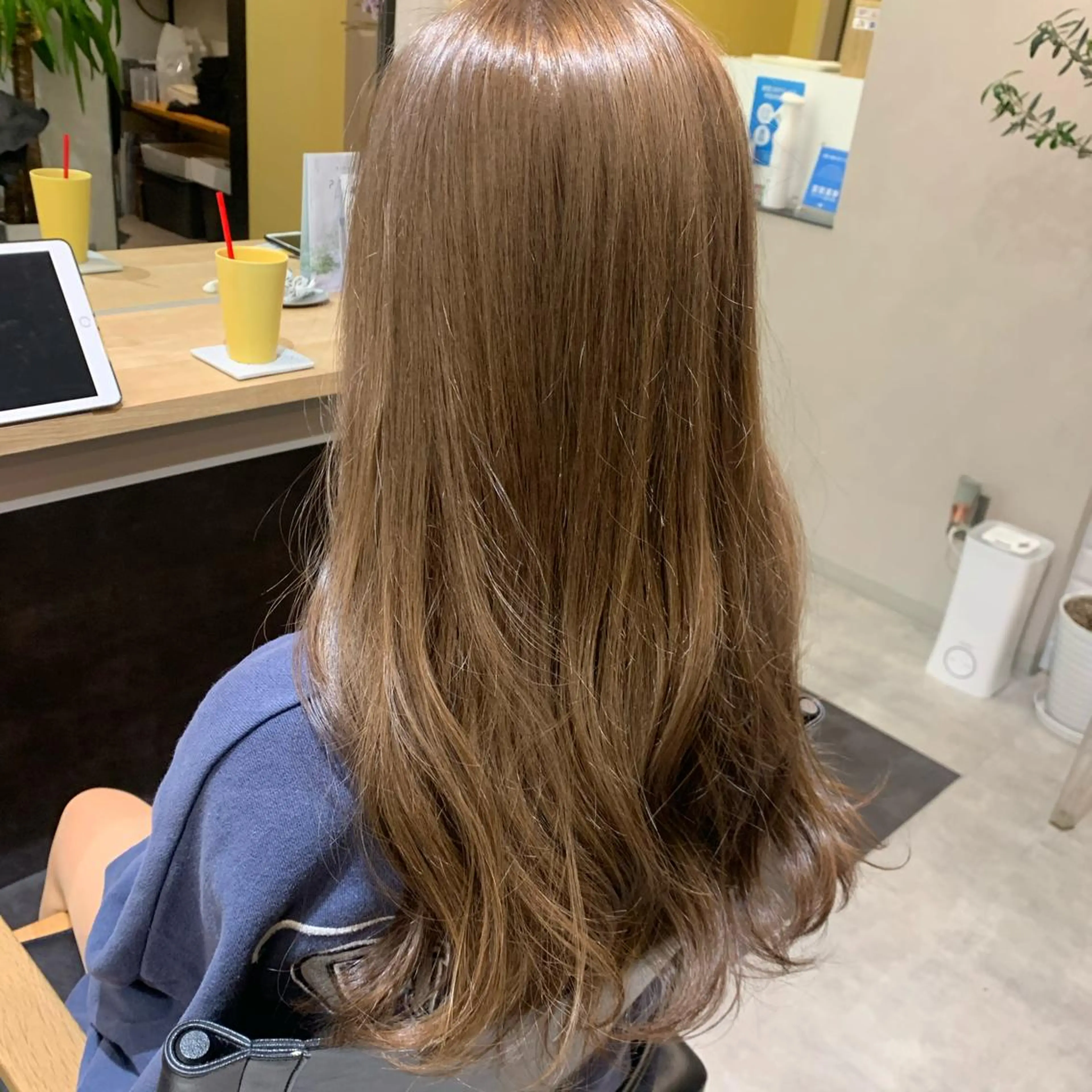 ロング カラー 透明感カラー グレージュ カット ヘアカラー トリートメント hub hair レイヤー/透明感のヘアスタイル